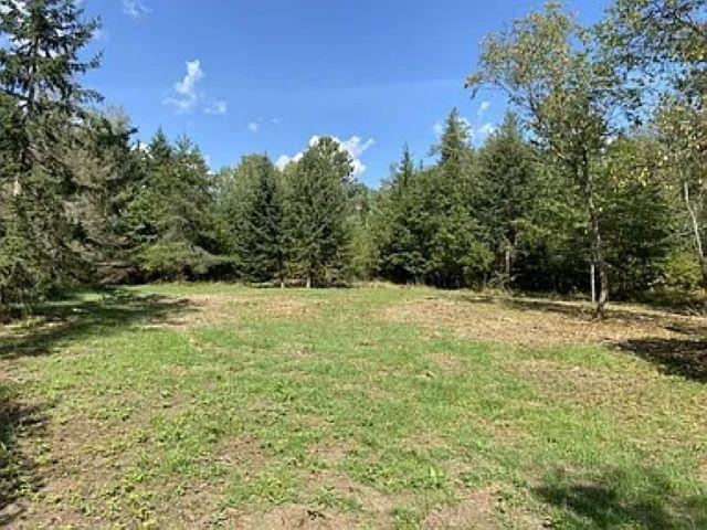 Lot 4 PINE SHORE LANE, Tomahawk, Wisconsin 54487, ,Land,For Sale,Lot 4 PINE SHORE LANE,22405333