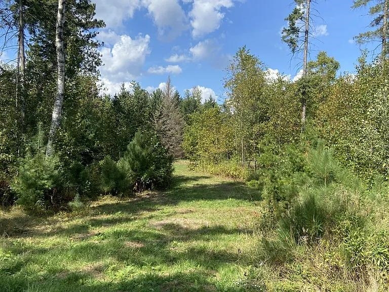 Lot 4 PINE SHORE LANE, Tomahawk, Wisconsin 54487, ,Land,For Sale,Lot 4 PINE SHORE LANE,22405333
