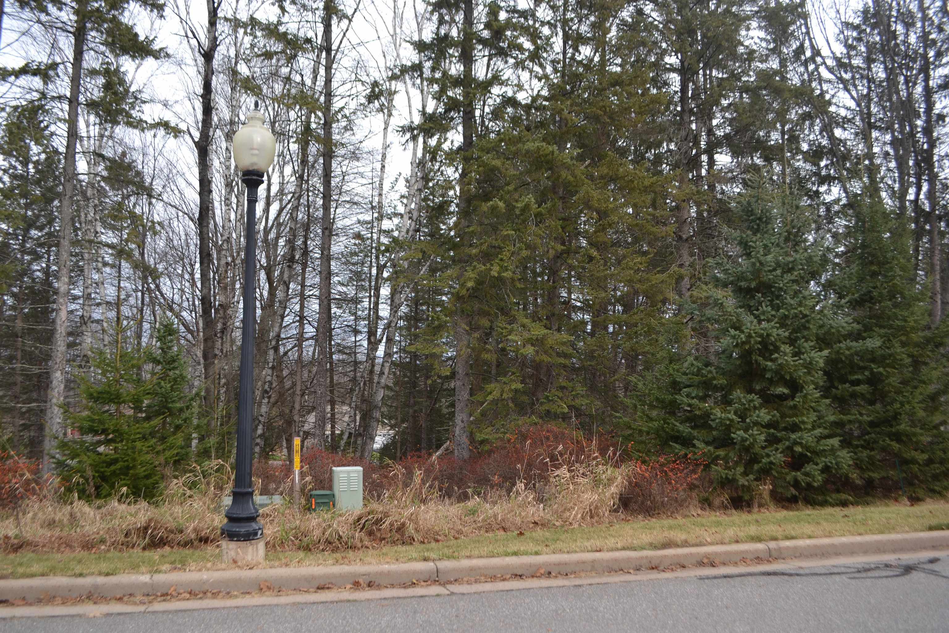 Lot #24 DEER TAIL LANE, Wausau, Wisconsin 54401, ,Land,For Sale,Lot #24 DEER TAIL LANE,22405544