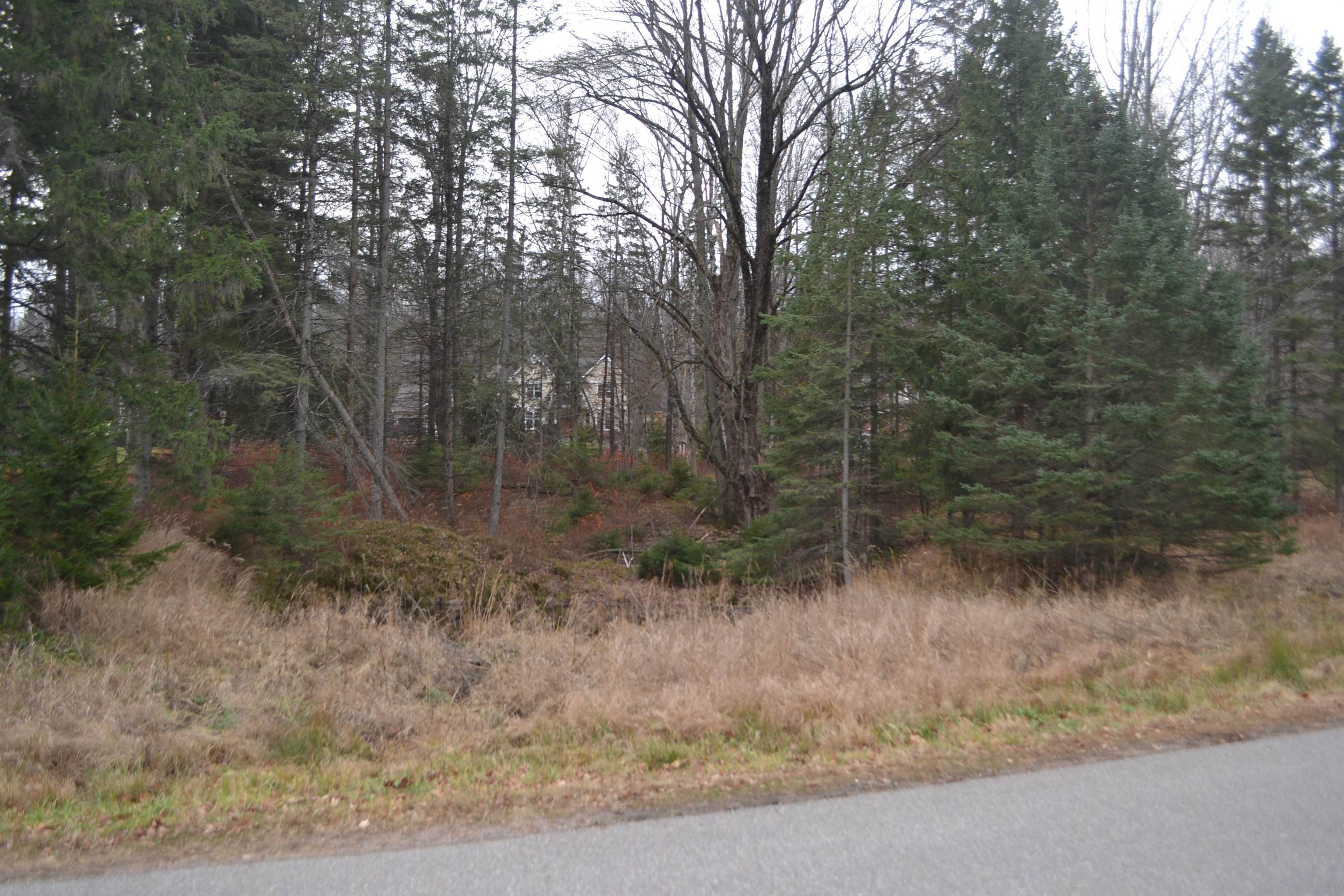 Lot #24 DEER TAIL LANE, Wausau, Wisconsin 54401, ,Land,For Sale,Lot #24 DEER TAIL LANE,22405544
