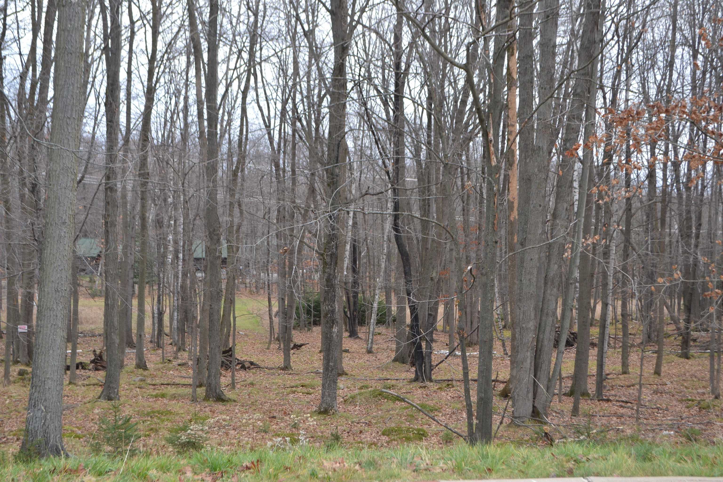 Lot #33 BUCK WOOD LANE, Wausau, Wisconsin 54401, ,Land,For Sale,Lot #33 BUCK WOOD LANE,22405546