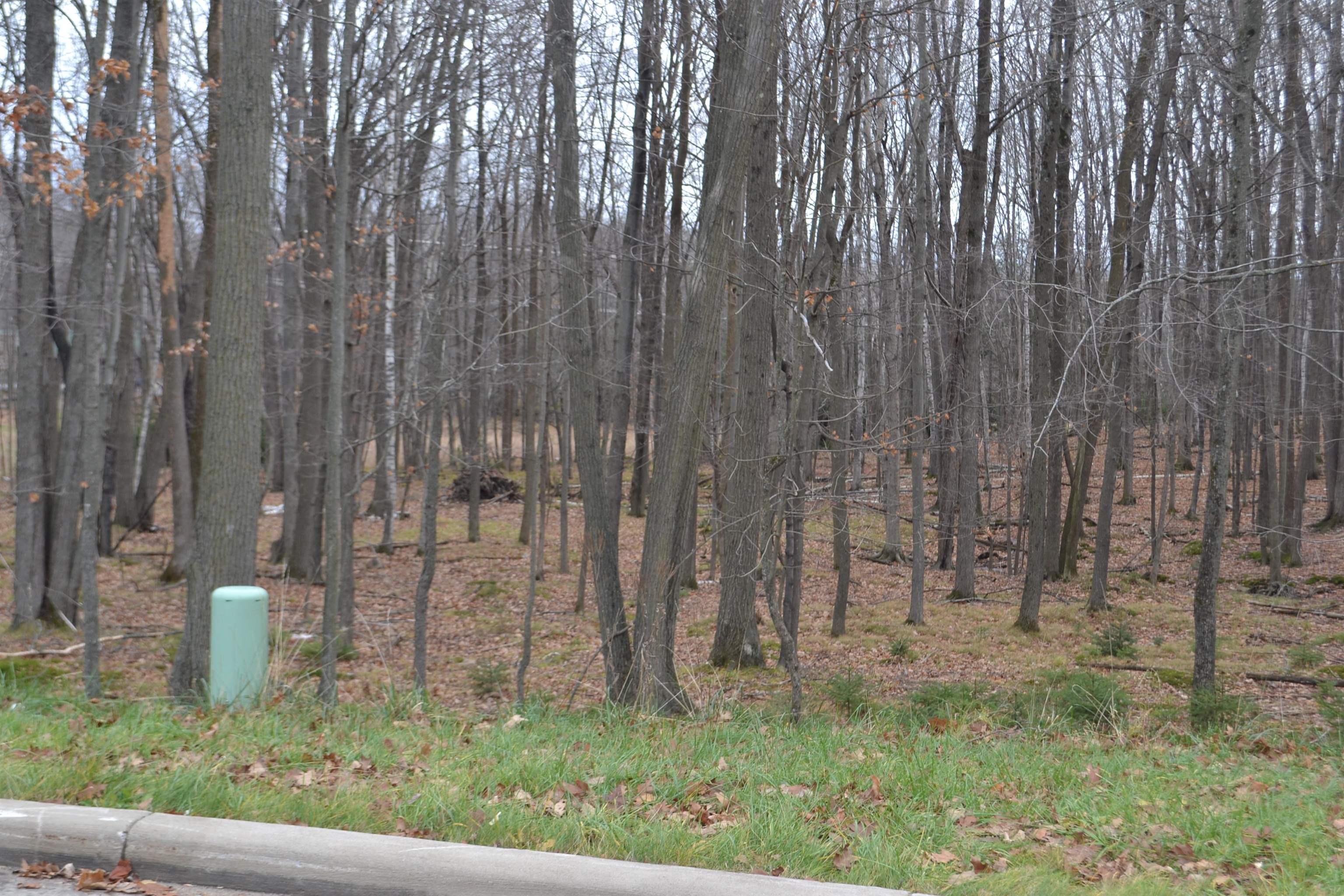 Lot #33 BUCK WOOD LANE, Wausau, Wisconsin 54401, ,Land,For Sale,Lot #33 BUCK WOOD LANE,22405546