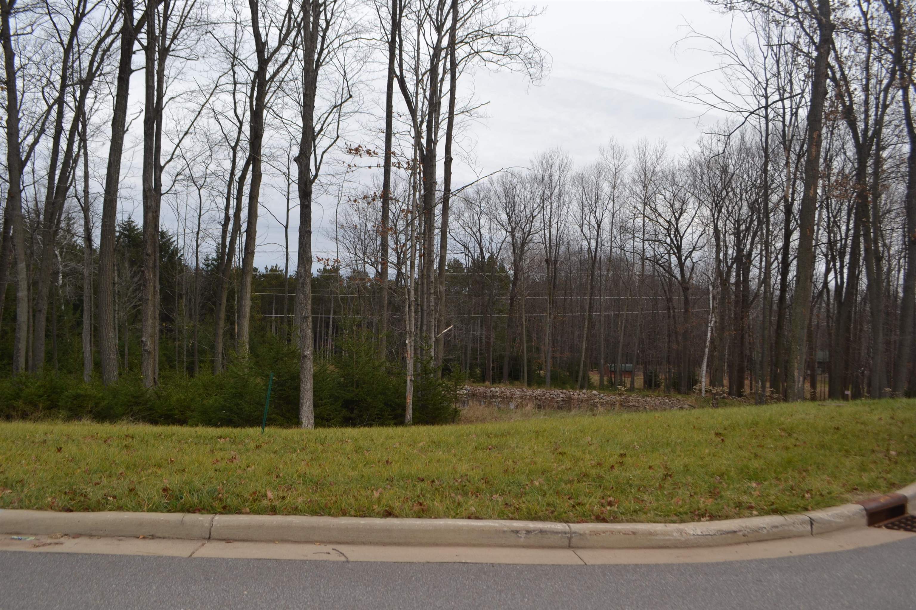 Lot #34 BUCK WOOD LANE, Wausau, Wisconsin 54401, ,Land,For Sale,Lot #34 BUCK WOOD LANE,22405548