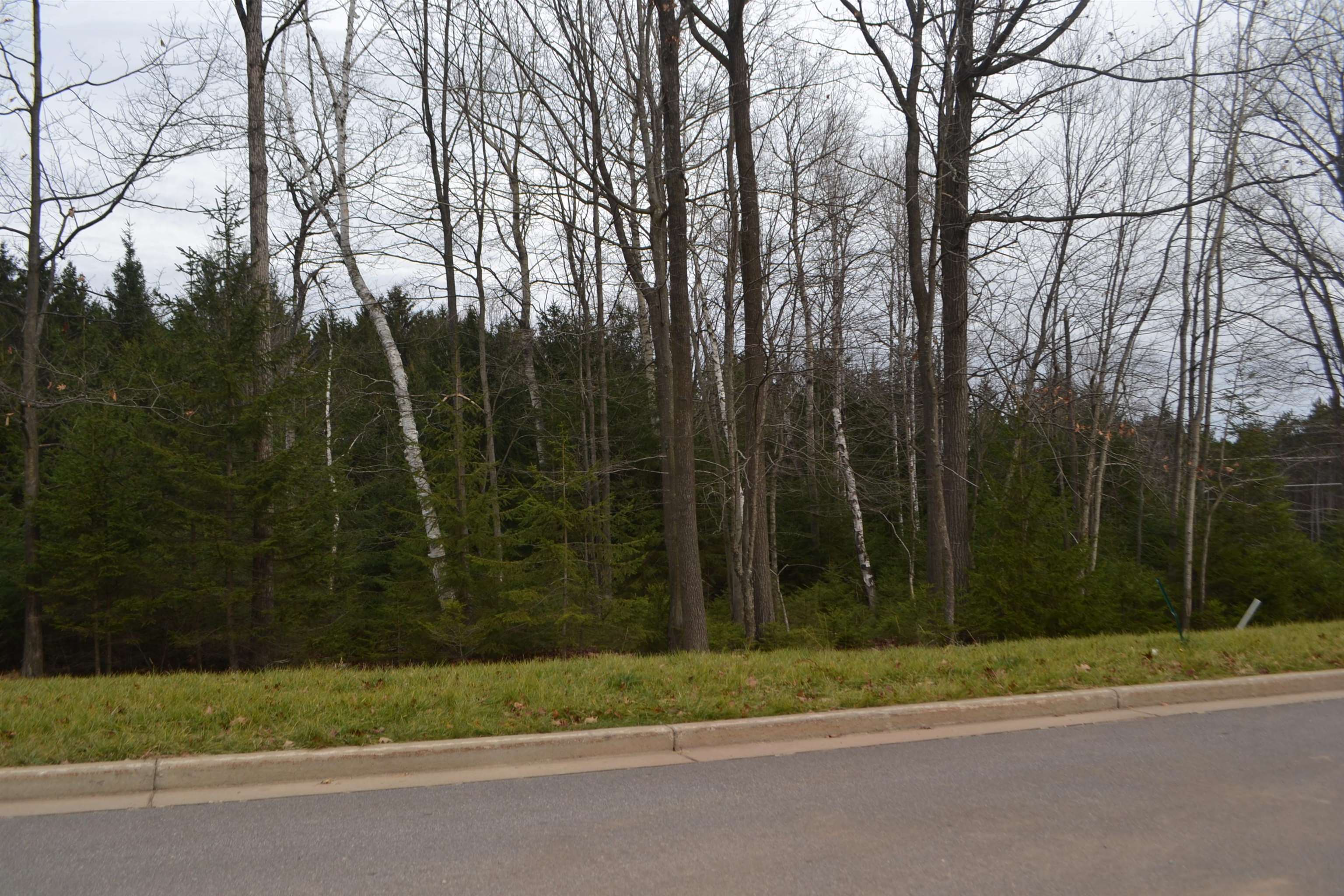 Lot #35 BUCK WOOD LANE, Wausau, Wisconsin 54401, ,Land,For Sale,Lot #35 BUCK WOOD LANE,22405550