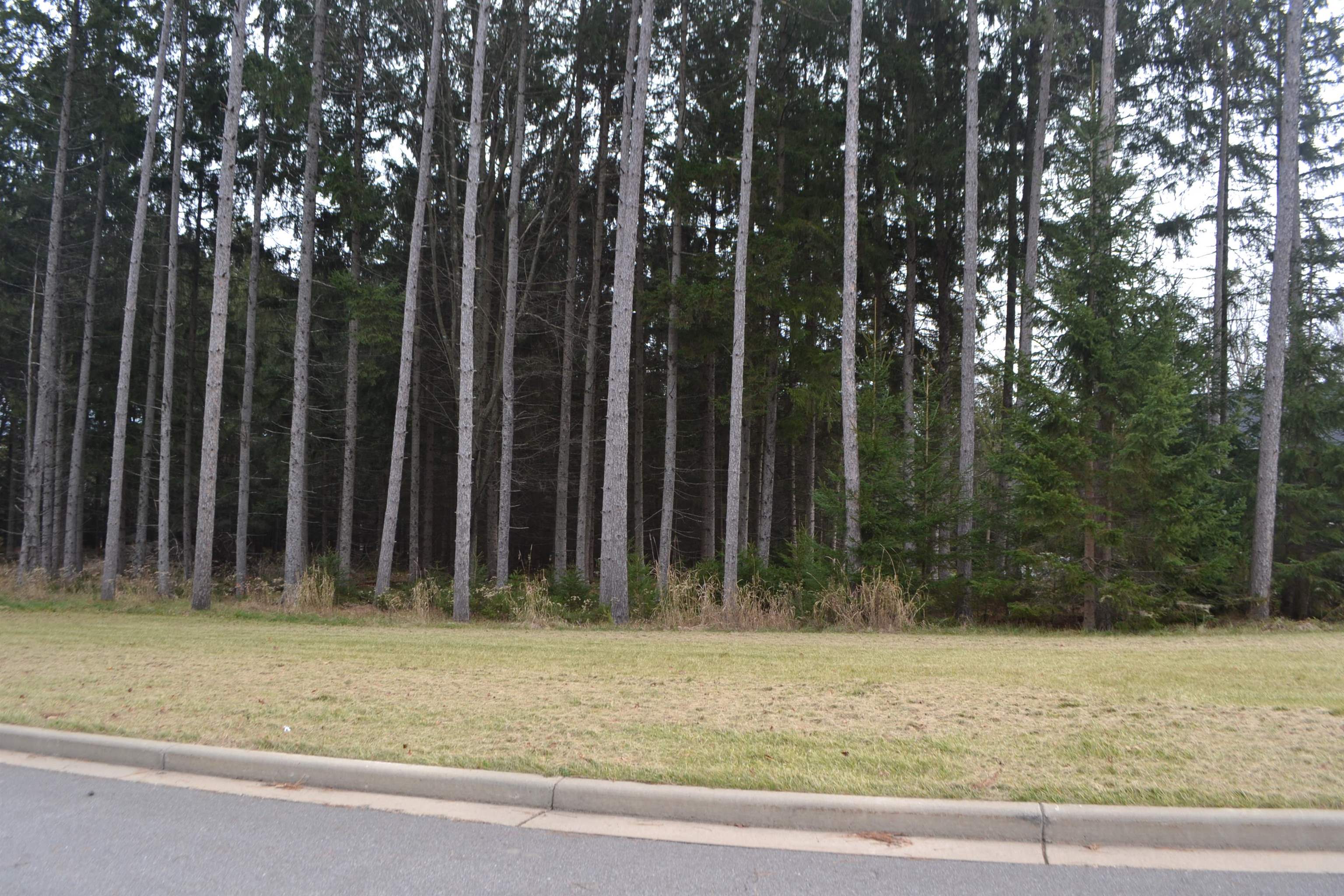Lot #37 BUCK WOOD LANE, Wausau, Wisconsin 54401, ,Land,For Sale,Lot #37 BUCK WOOD LANE,22405552