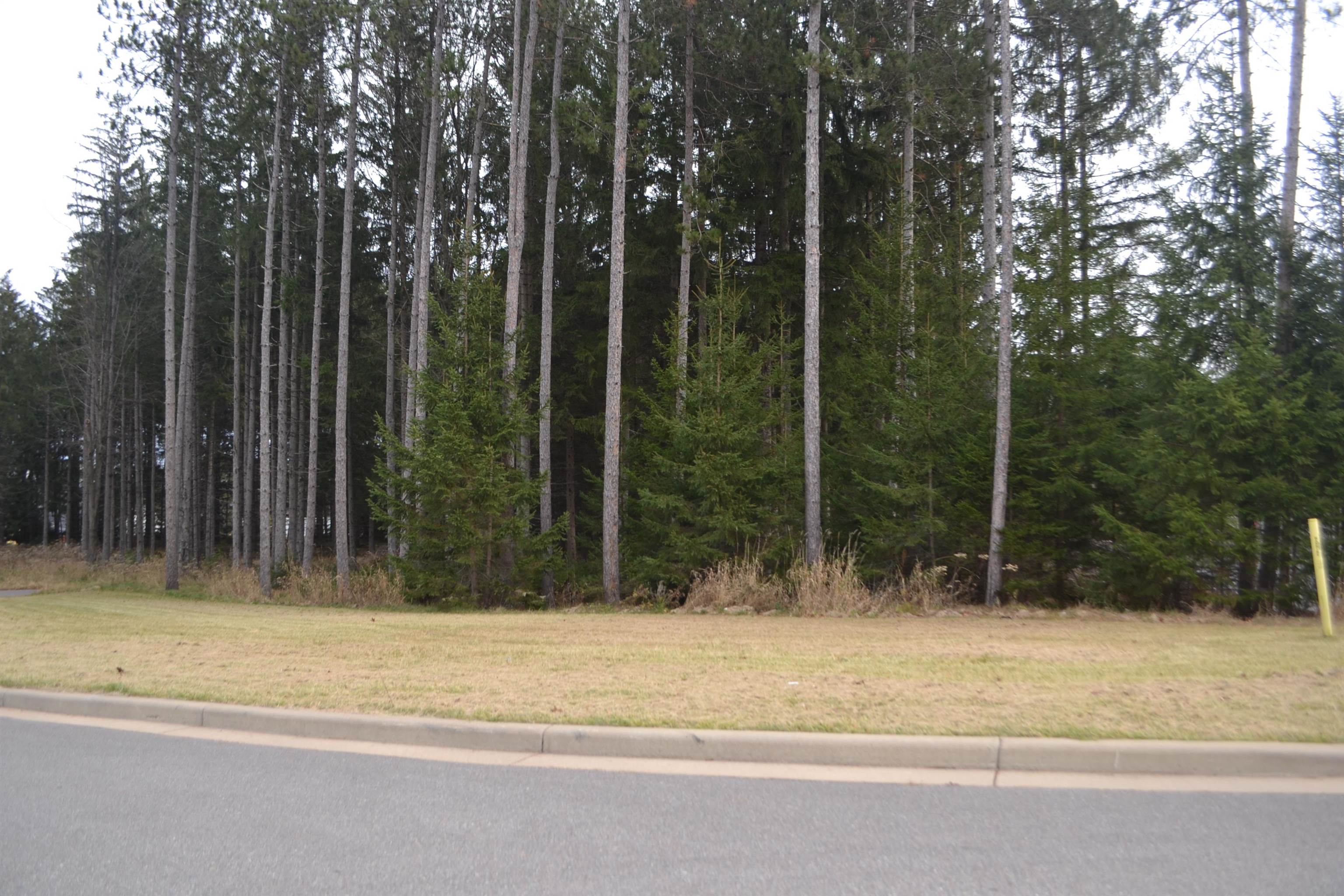 Lot #37 BUCK WOOD LANE, Wausau, Wisconsin 54401, ,Land,For Sale,Lot #37 BUCK WOOD LANE,22405552