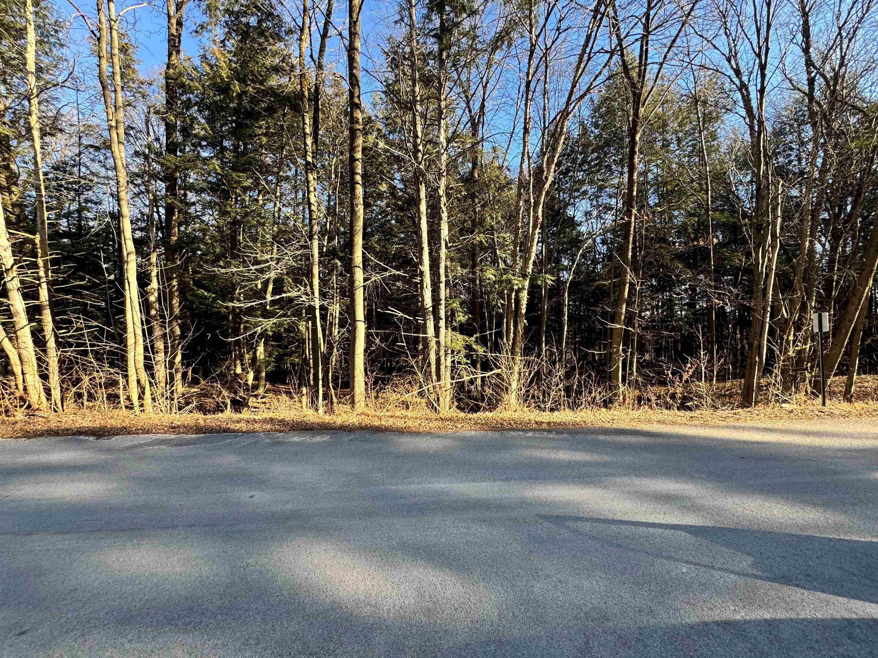 Lot 2 BUTTERCUP ROAD, Wausau, Wisconsin 54401, ,Land,For Sale,Lot 2 BUTTERCUP ROAD,22500089