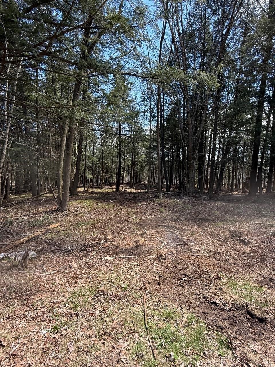 Lot 2 BUTTERCUP ROAD, Wausau, Wisconsin 54401, ,Land,For Sale,Lot 2 BUTTERCUP ROAD,22500089