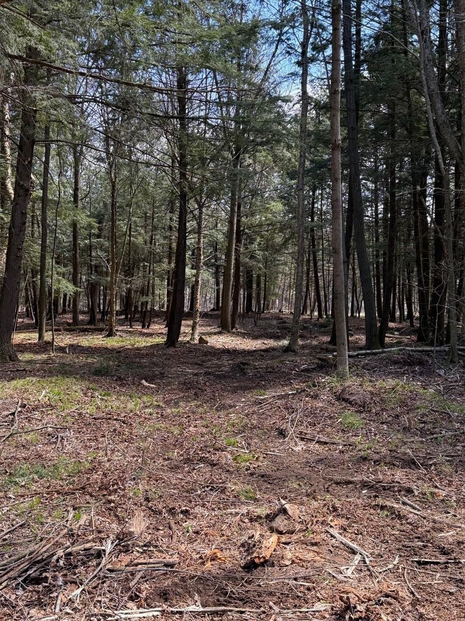 Lot 2 BUTTERCUP ROAD, Wausau, Wisconsin 54401, ,Land,For Sale,Lot 2 BUTTERCUP ROAD,22500089