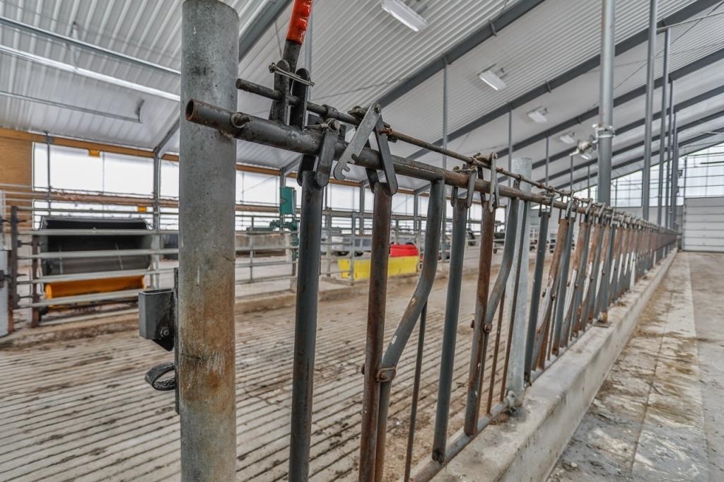 179432 COUNTY ROAD II, Eland, Wisconsin 54427, ,Land,For Sale,179432 COUNTY ROAD II,22500189