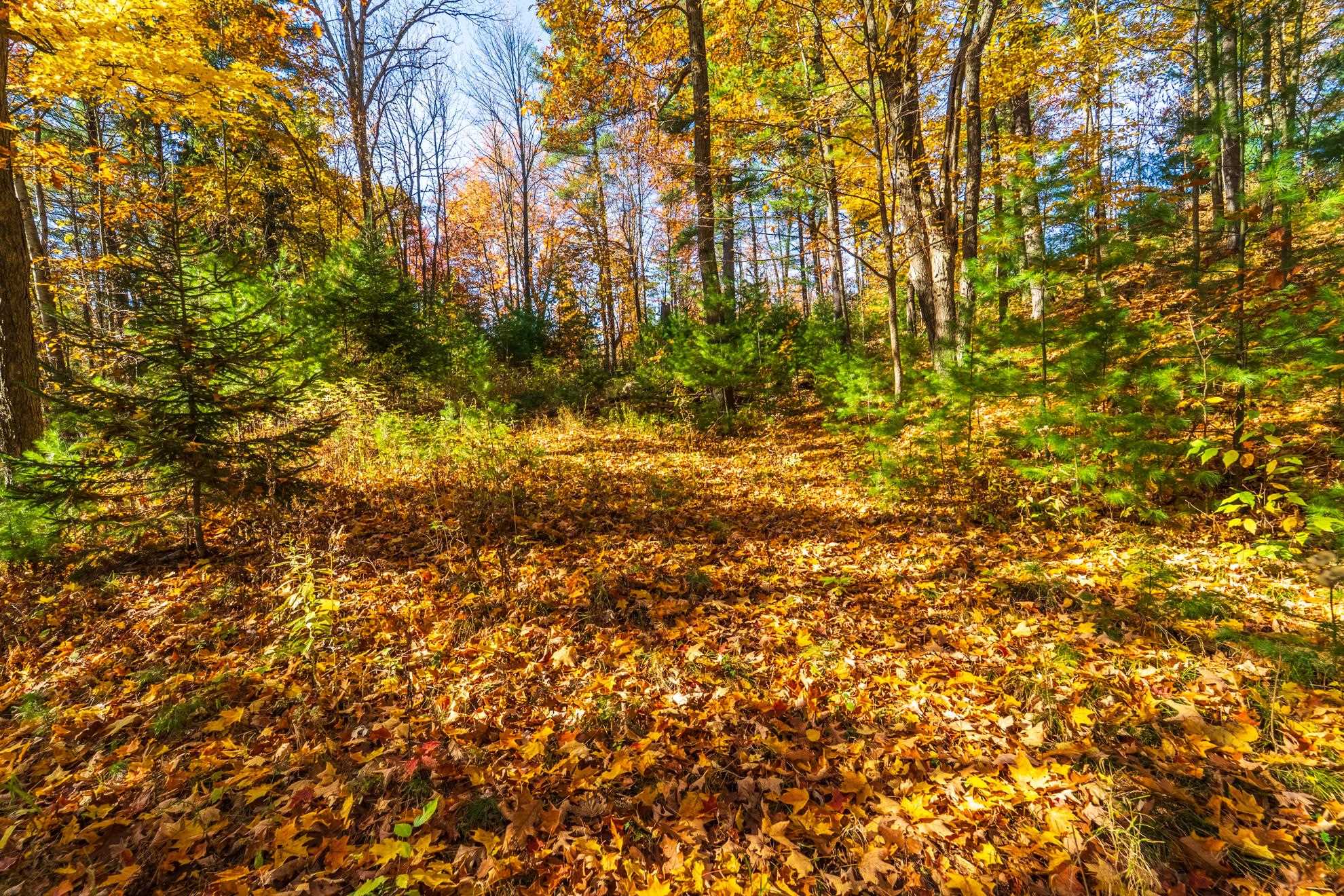 212 WINDTREE DRIVE, Wausau, Wisconsin 54401, ,Land,For Sale,212 WINDTREE DRIVE,22500256