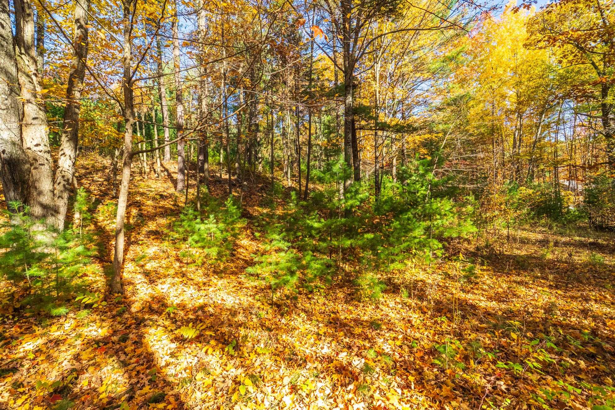 212 WINDTREE DRIVE, Wausau, Wisconsin 54401, ,Land,For Sale,212 WINDTREE DRIVE,22500256