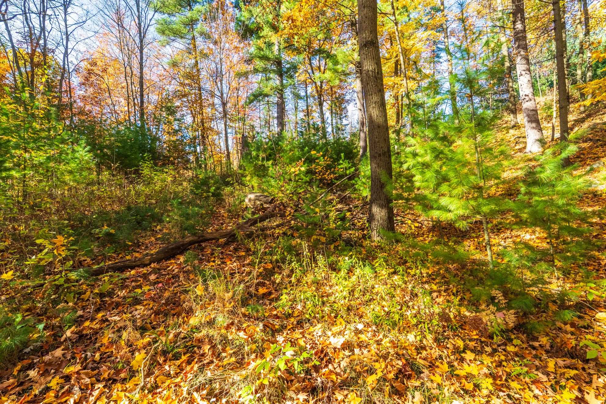 212 WINDTREE DRIVE, Wausau, Wisconsin 54401, ,Land,For Sale,212 WINDTREE DRIVE,22500256