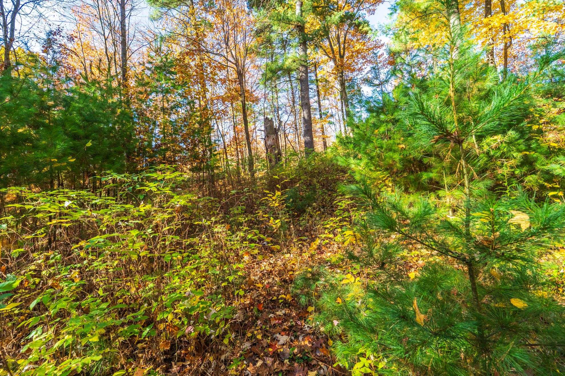 212 WINDTREE DRIVE, Wausau, Wisconsin 54401, ,Land,For Sale,212 WINDTREE DRIVE,22500256