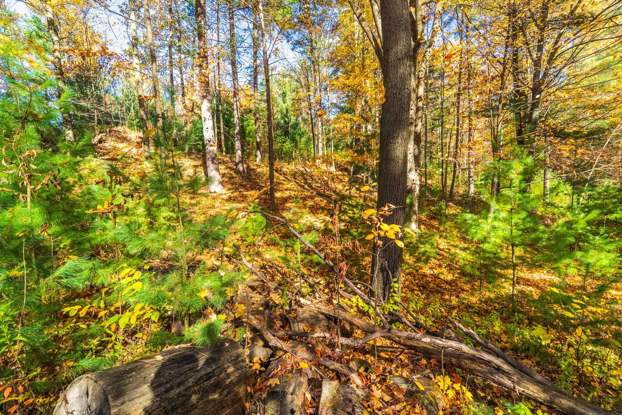 212 WINDTREE DRIVE, Wausau, Wisconsin 54401, ,Land,For Sale,212 WINDTREE DRIVE,22500256