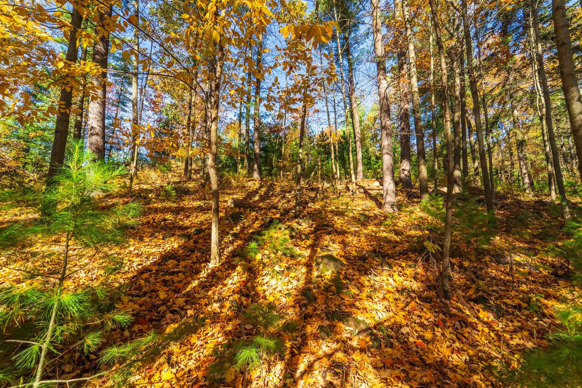 212 WINDTREE DRIVE, Wausau, Wisconsin 54401, ,Land,For Sale,212 WINDTREE DRIVE,22500256