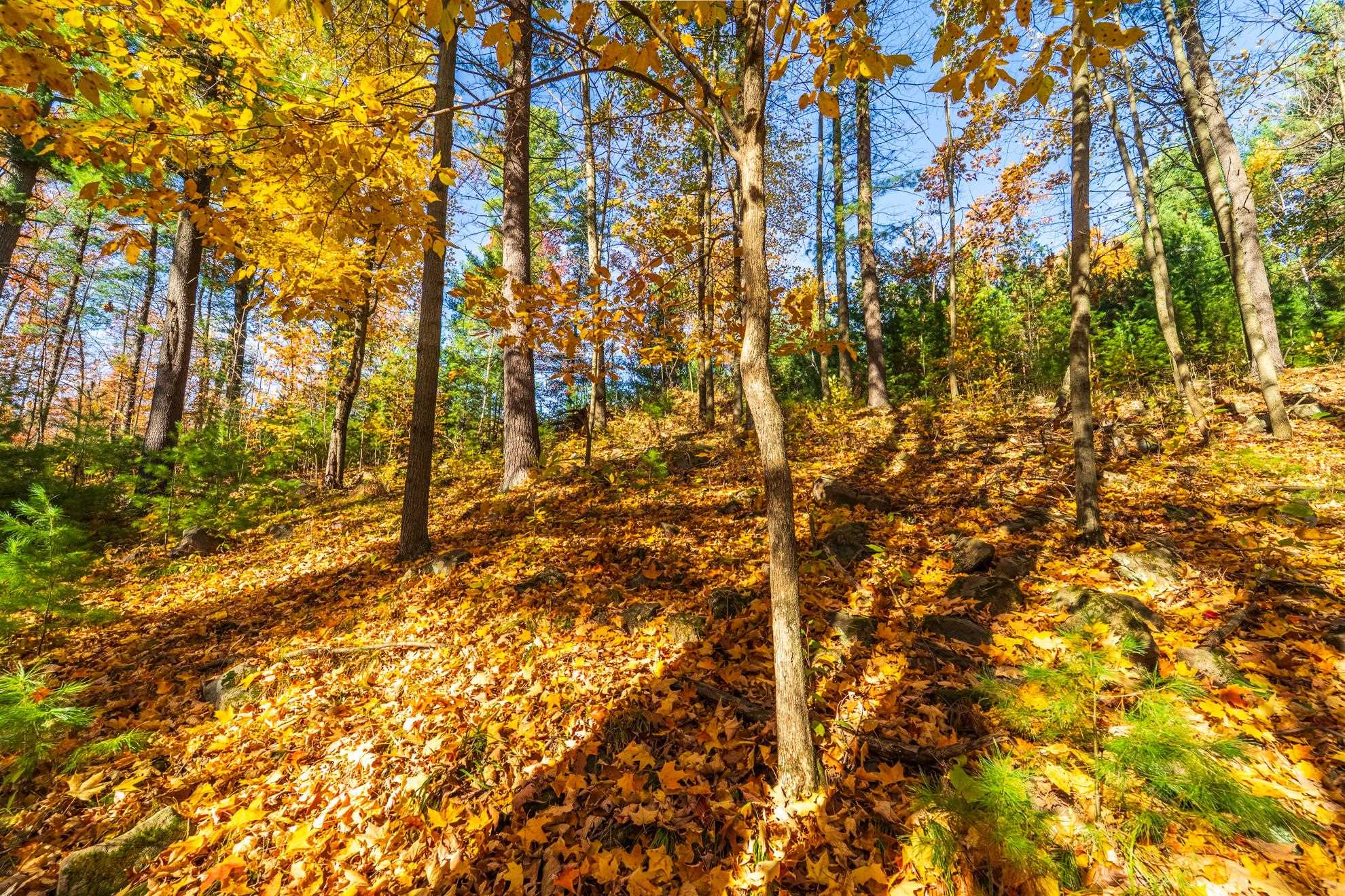 212 WINDTREE DRIVE, Wausau, Wisconsin 54401, ,Land,For Sale,212 WINDTREE DRIVE,22500256