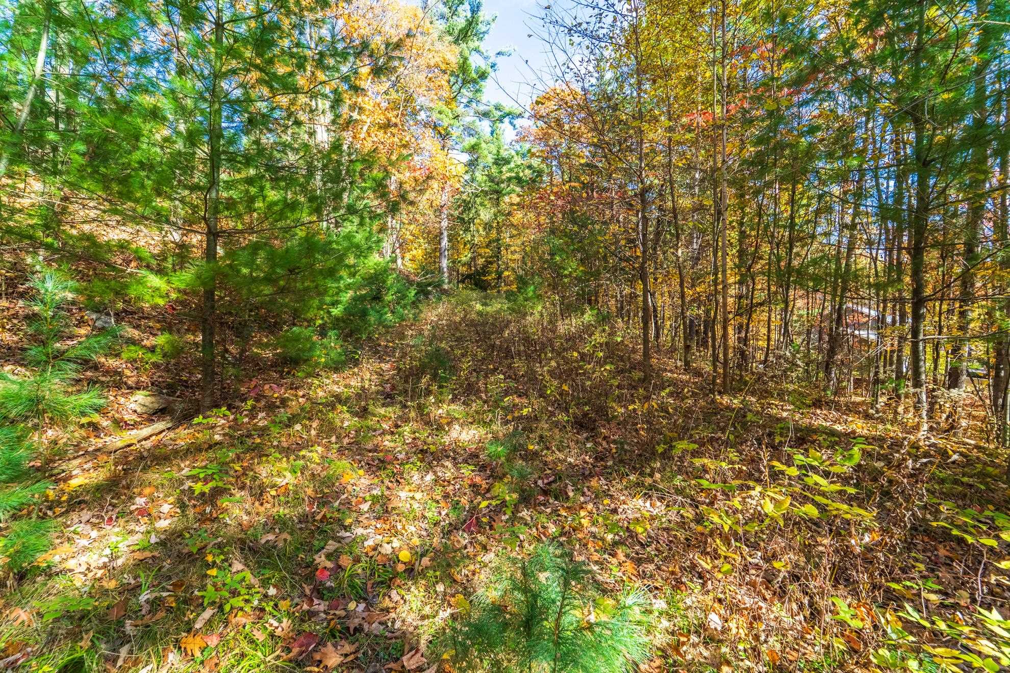 212 WINDTREE DRIVE, Wausau, Wisconsin 54401, ,Land,For Sale,212 WINDTREE DRIVE,22500256