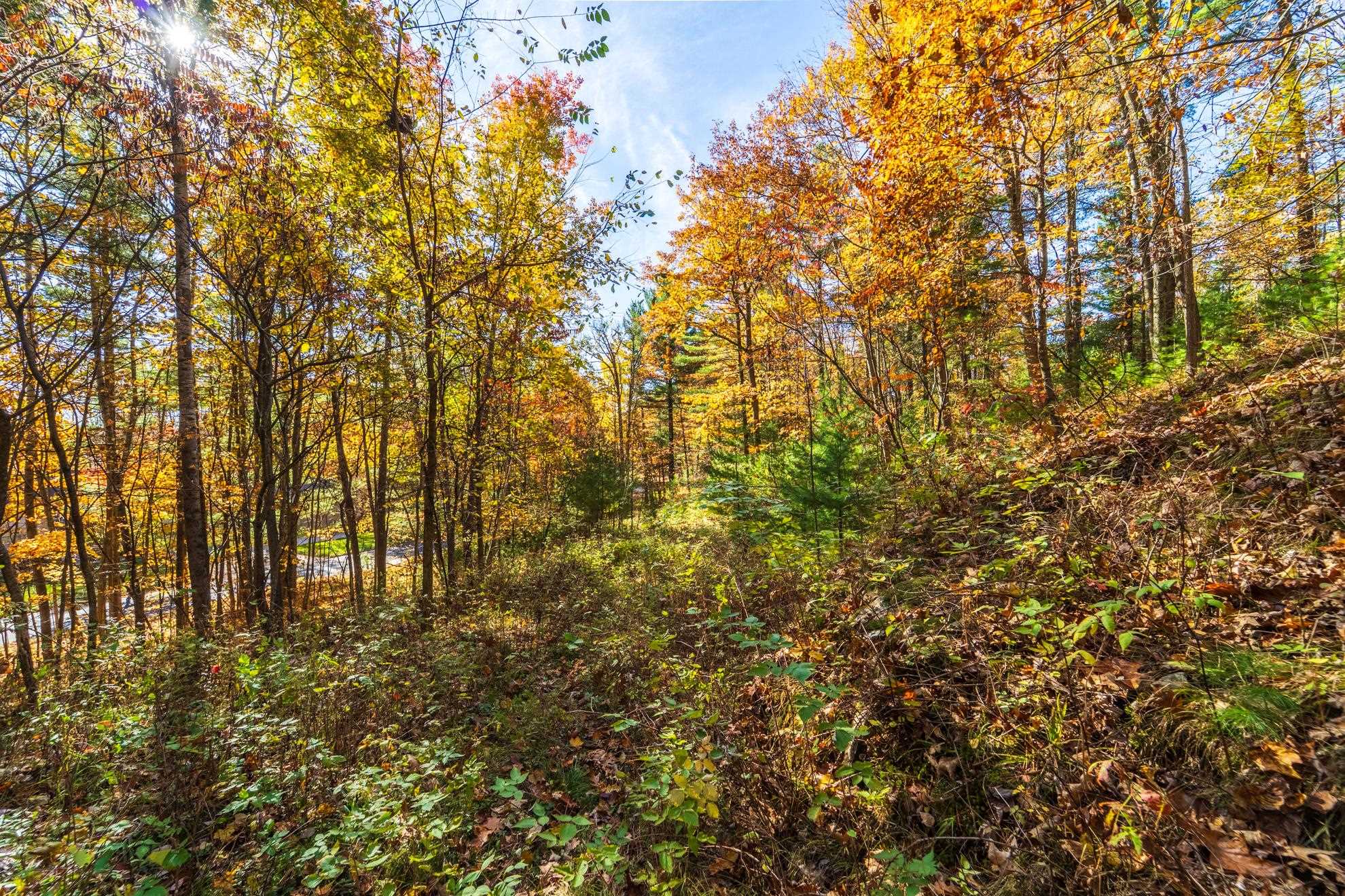 212 WINDTREE DRIVE, Wausau, Wisconsin 54401, ,Land,For Sale,212 WINDTREE DRIVE,22500256