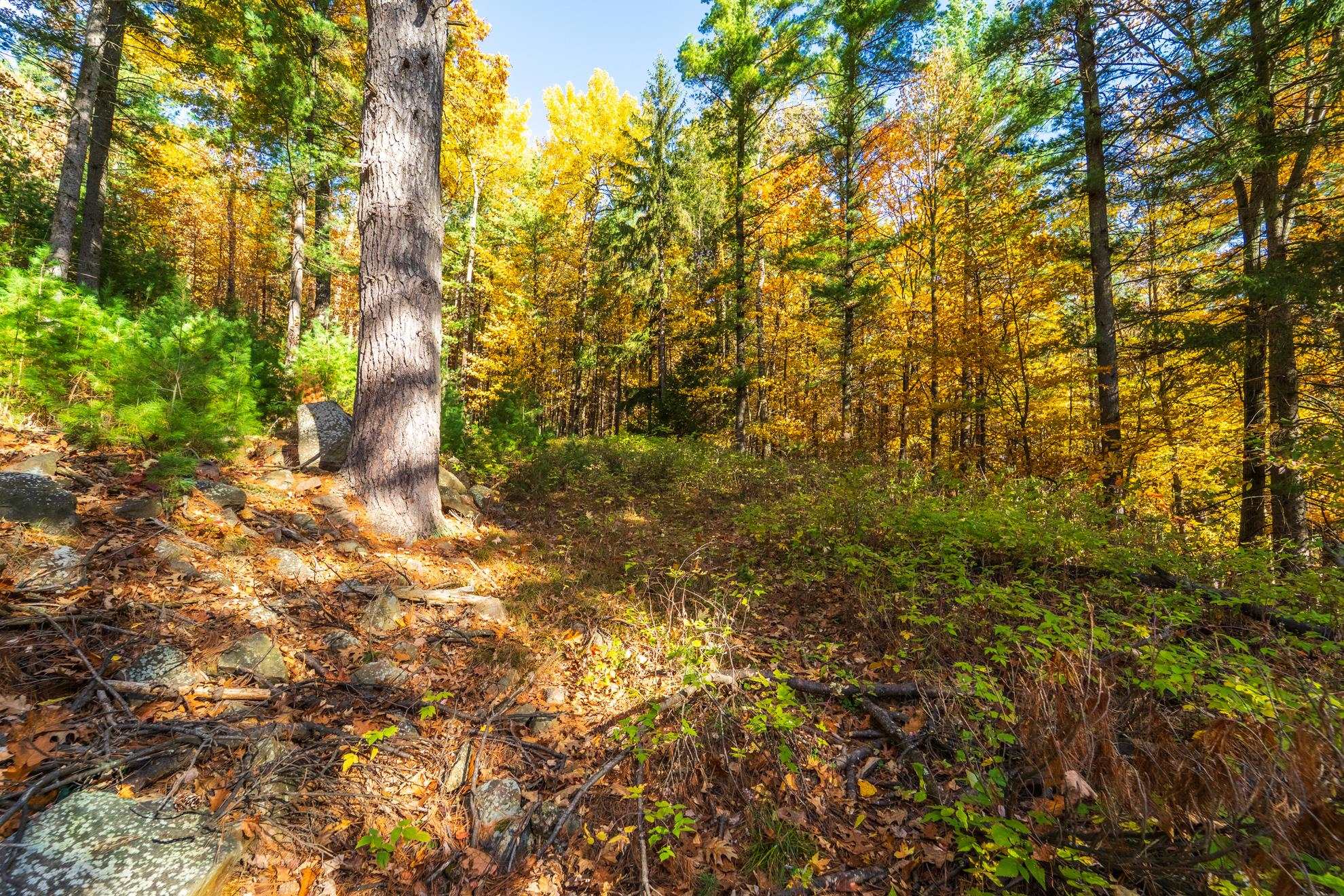 212 WINDTREE DRIVE, Wausau, Wisconsin 54401, ,Land,For Sale,212 WINDTREE DRIVE,22500256