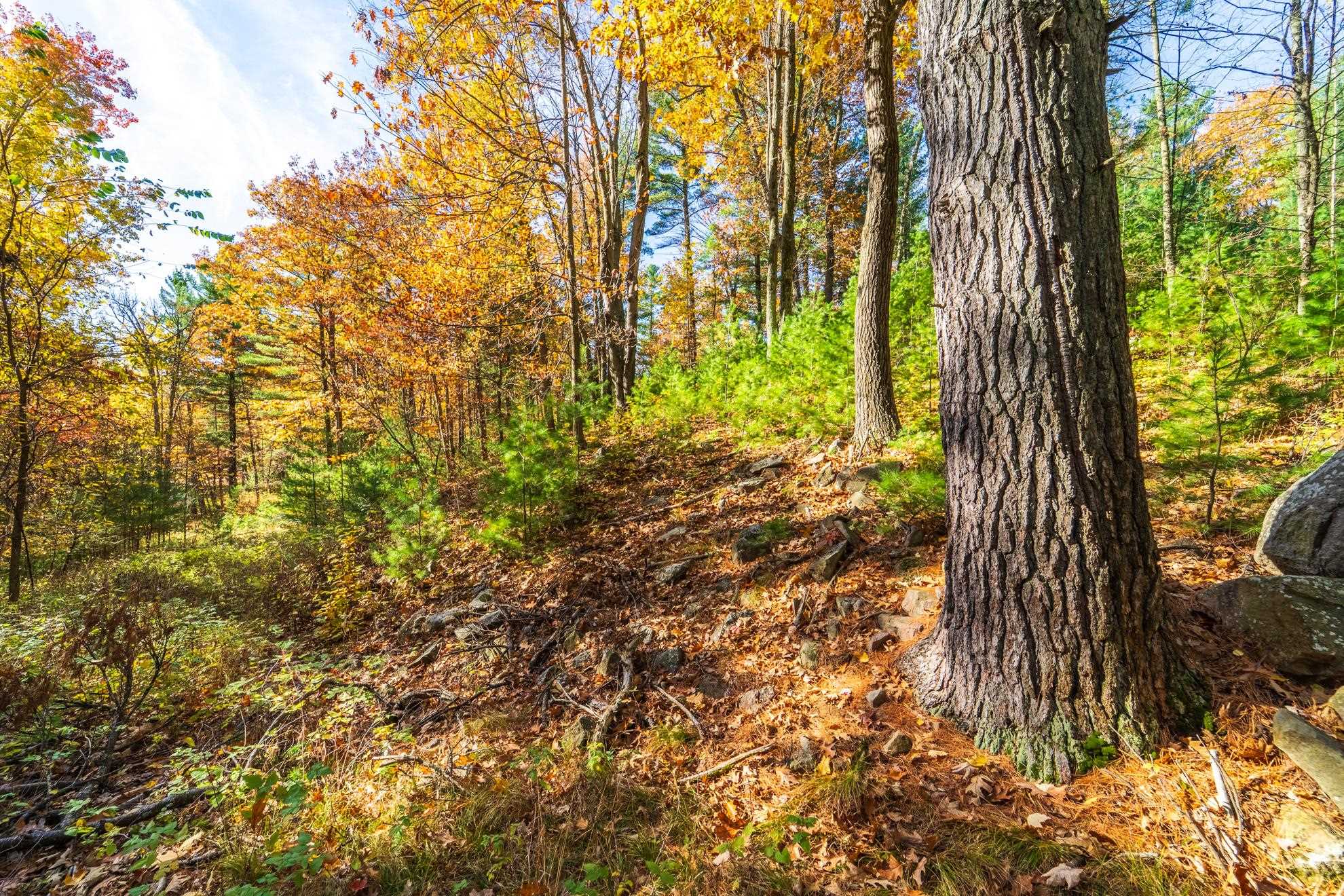 212 WINDTREE DRIVE, Wausau, Wisconsin 54401, ,Land,For Sale,212 WINDTREE DRIVE,22500256