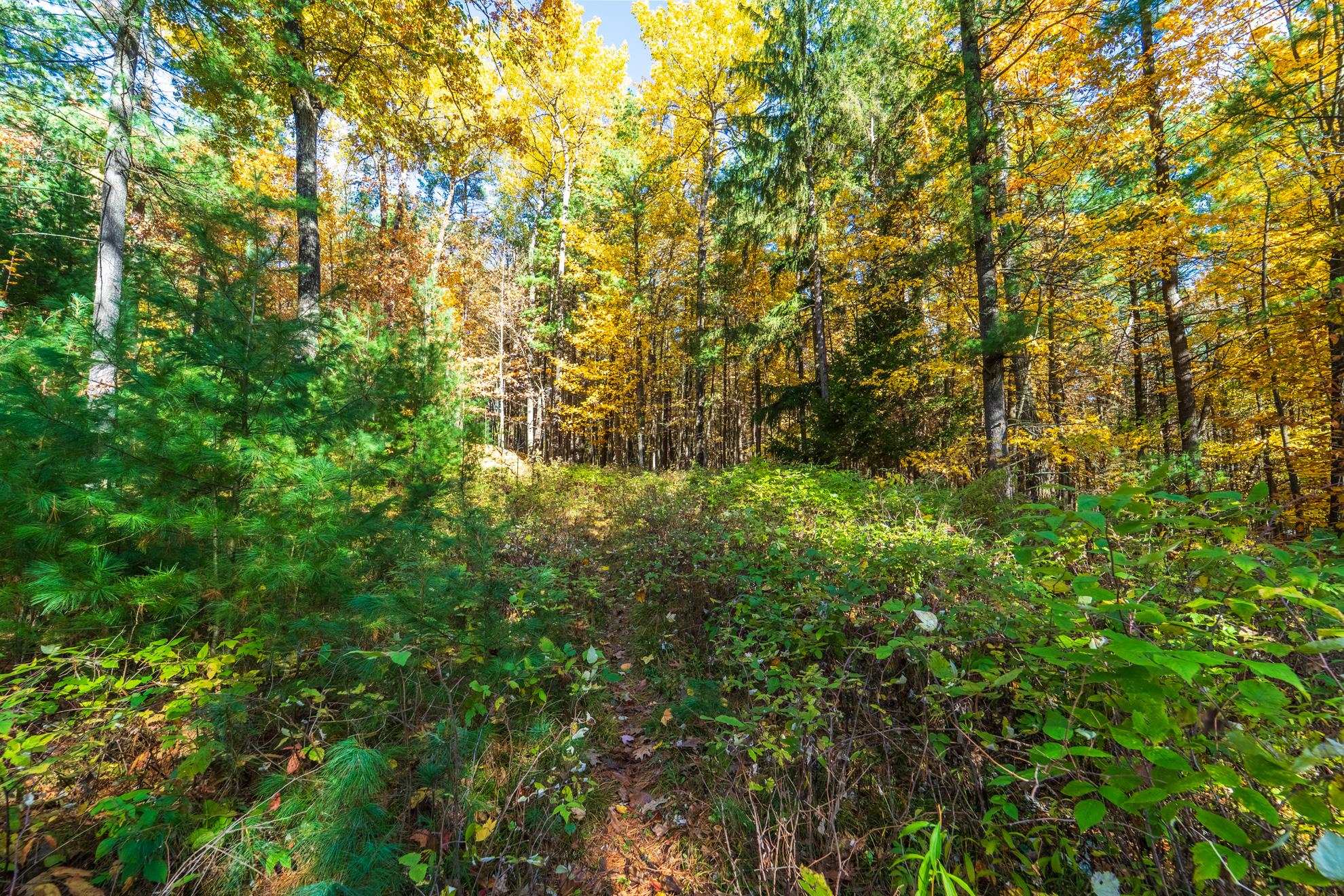 212 WINDTREE DRIVE, Wausau, Wisconsin 54401, ,Land,For Sale,212 WINDTREE DRIVE,22500256