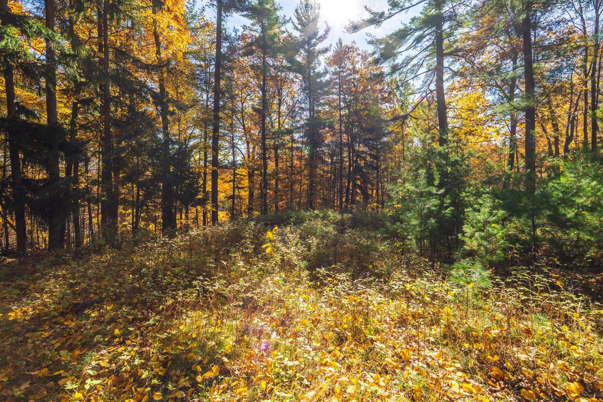 212 WINDTREE DRIVE, Wausau, Wisconsin 54401, ,Land,For Sale,212 WINDTREE DRIVE,22500256