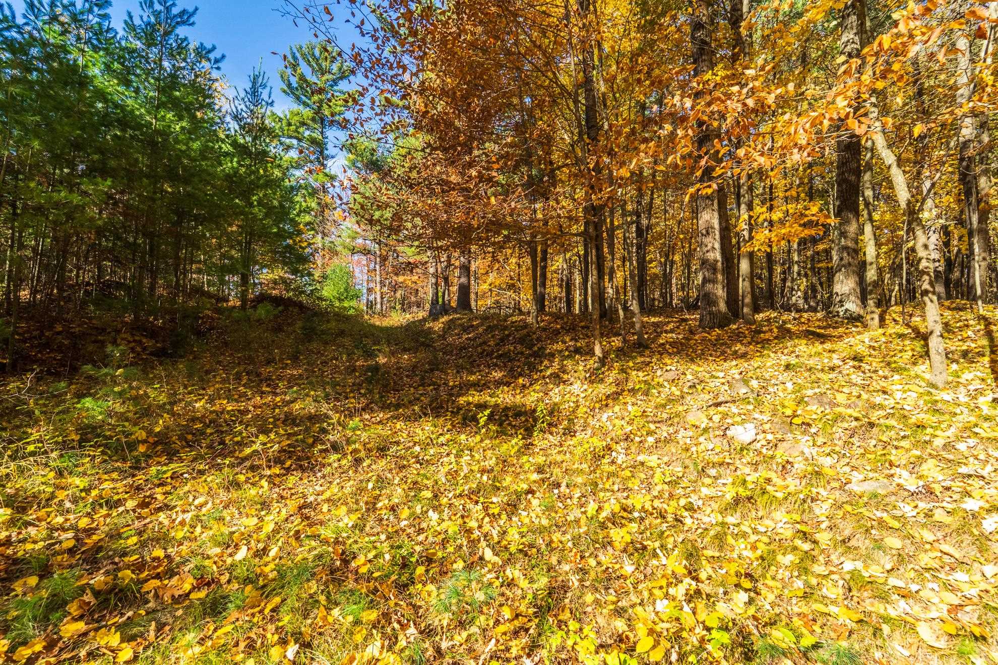 212 WINDTREE DRIVE, Wausau, Wisconsin 54401, ,Land,For Sale,212 WINDTREE DRIVE,22500256