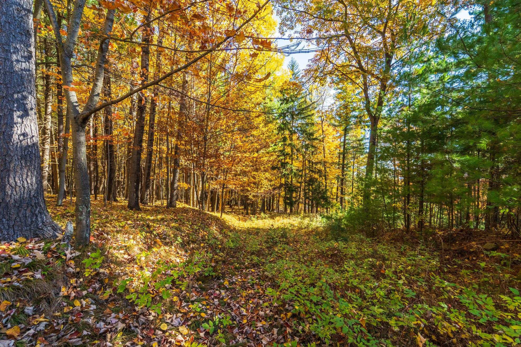 212 WINDTREE DRIVE, Wausau, Wisconsin 54401, ,Land,For Sale,212 WINDTREE DRIVE,22500256