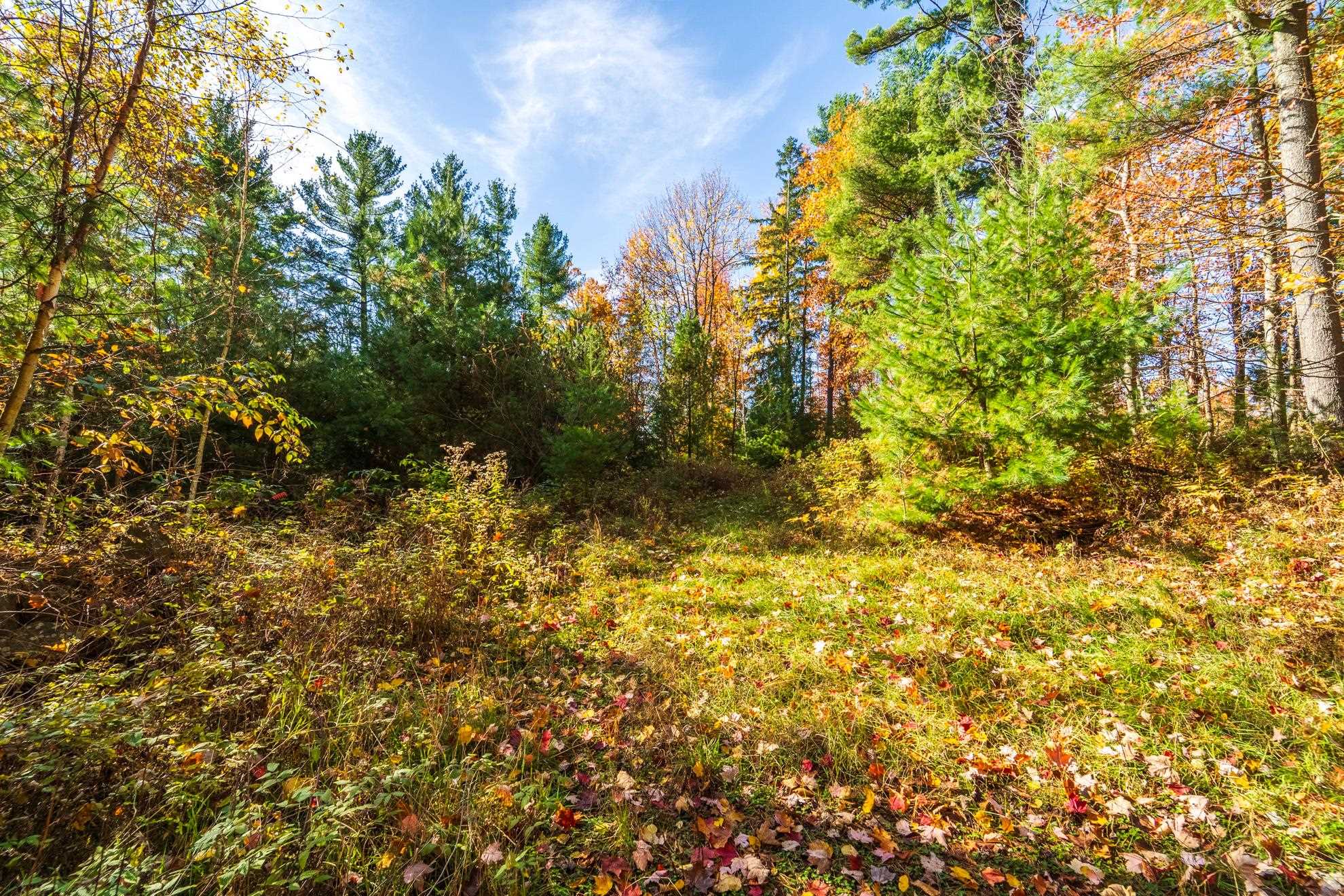 212 WINDTREE DRIVE, Wausau, Wisconsin 54401, ,Land,For Sale,212 WINDTREE DRIVE,22500256