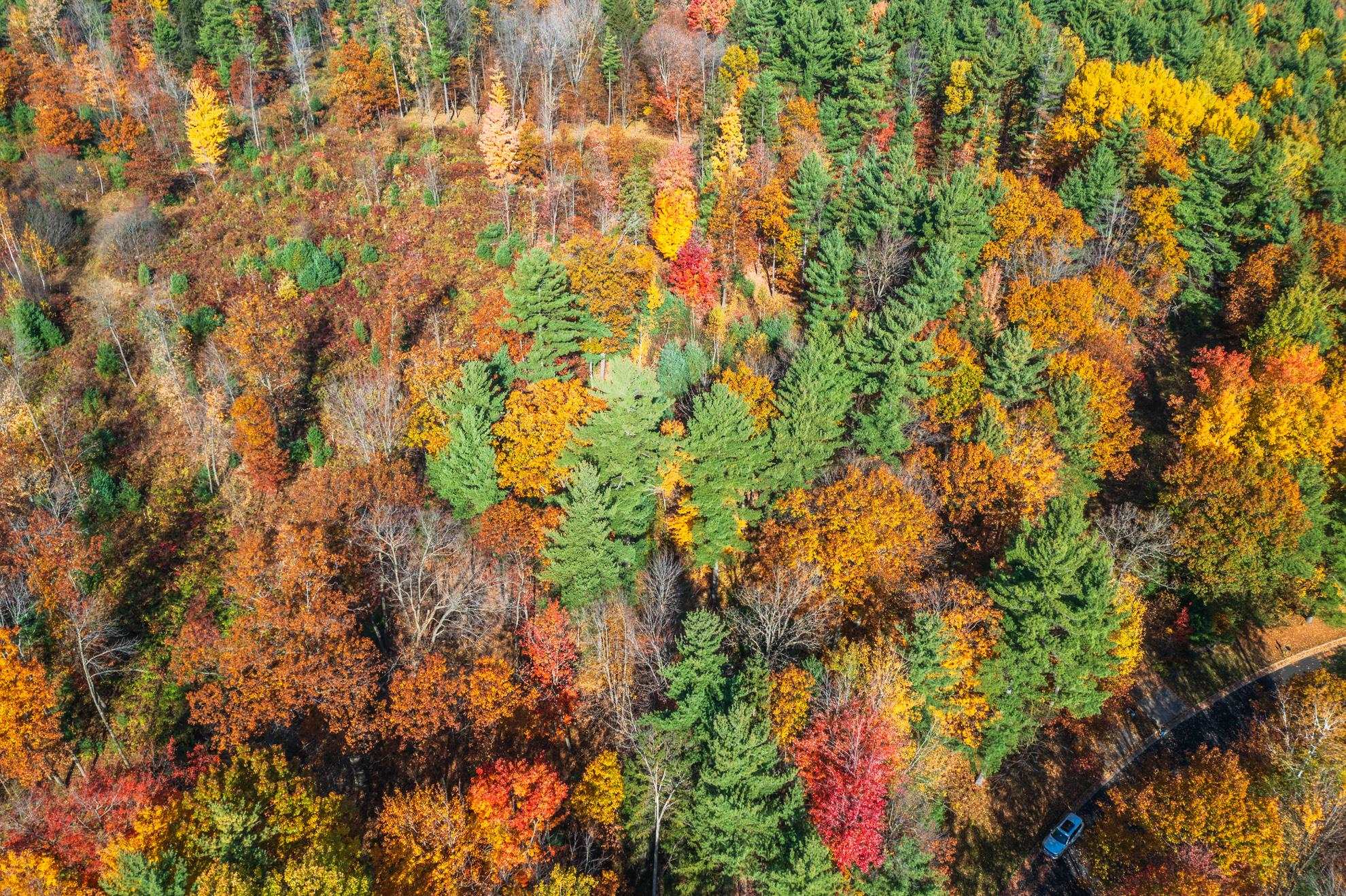 212 WINDTREE DRIVE, Wausau, Wisconsin 54401, ,Land,For Sale,212 WINDTREE DRIVE,22500256