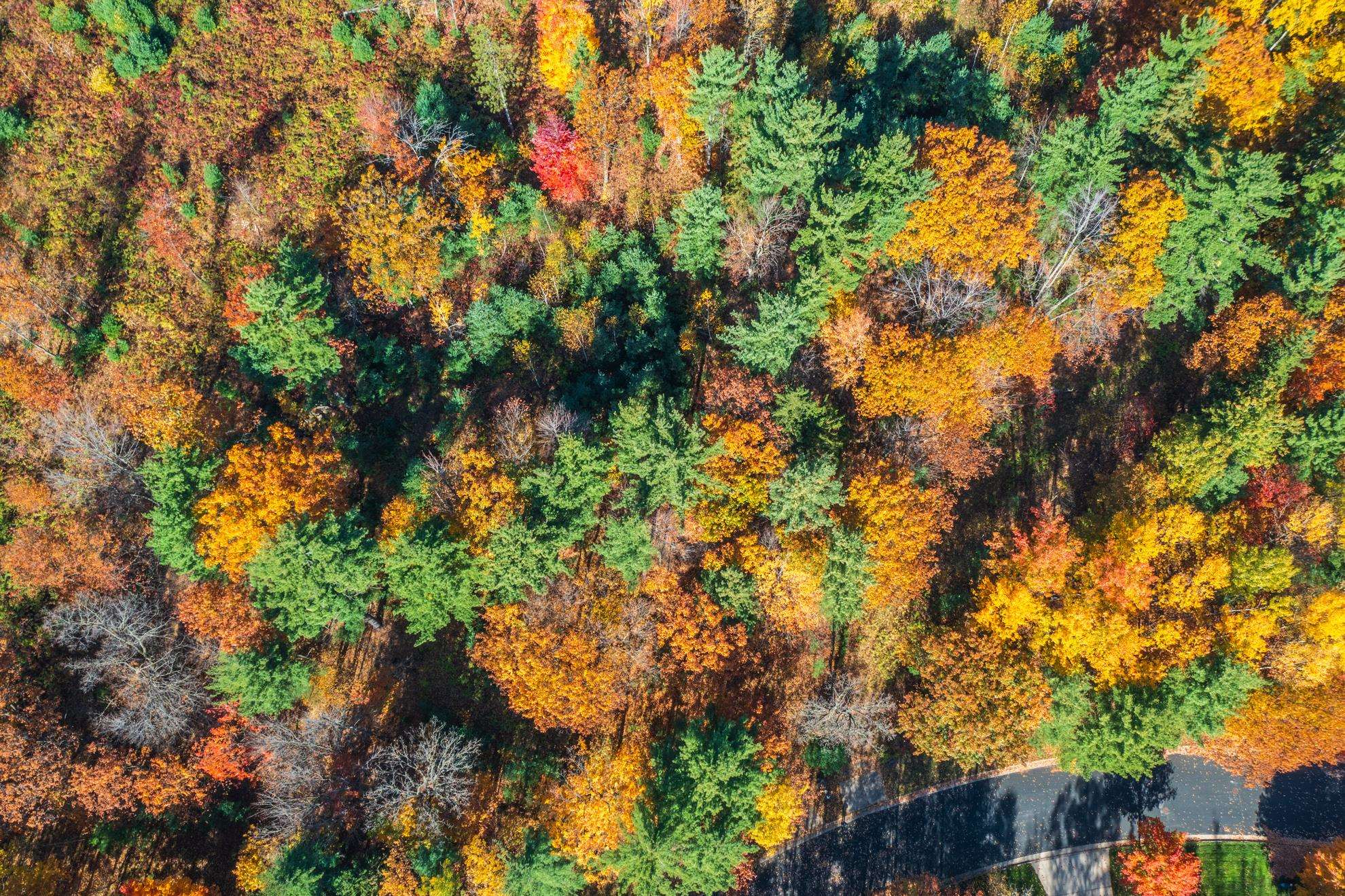 212 WINDTREE DRIVE, Wausau, Wisconsin 54401, ,Land,For Sale,212 WINDTREE DRIVE,22500256