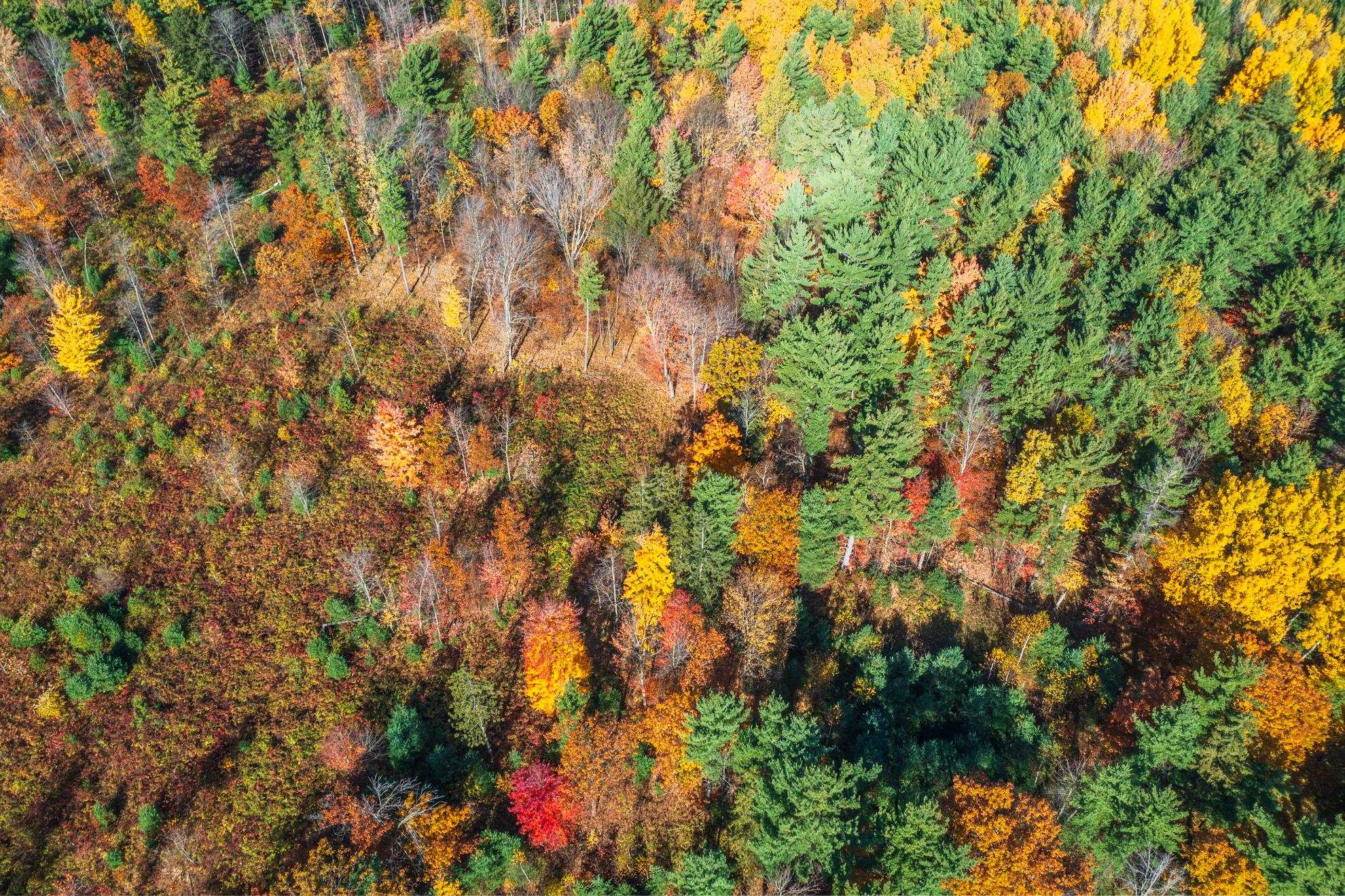 212 WINDTREE DRIVE, Wausau, Wisconsin 54401, ,Land,For Sale,212 WINDTREE DRIVE,22500256