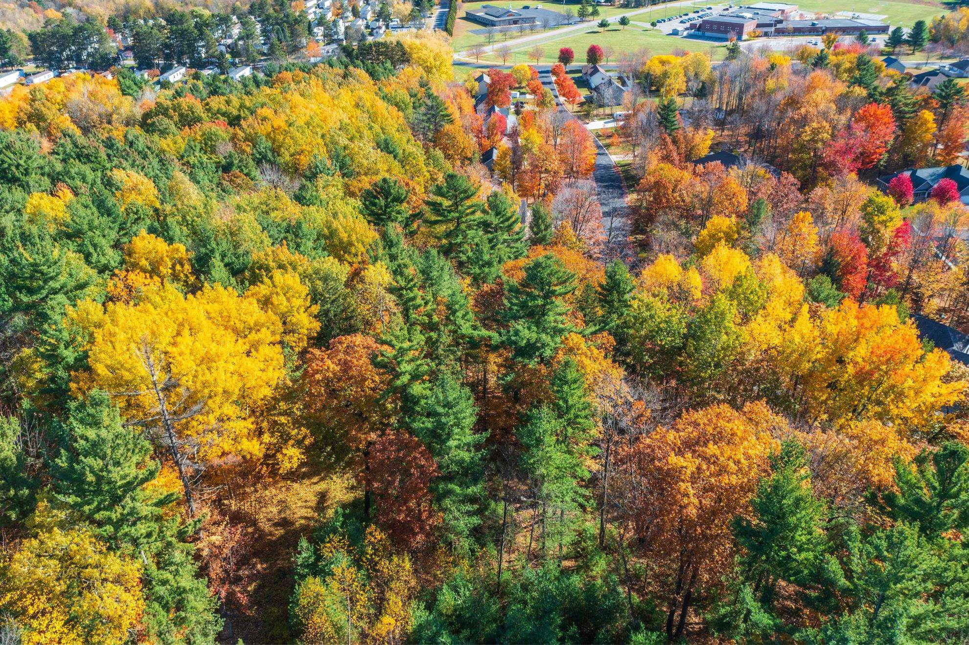 212 WINDTREE DRIVE, Wausau, Wisconsin 54401, ,Land,For Sale,212 WINDTREE DRIVE,22500256