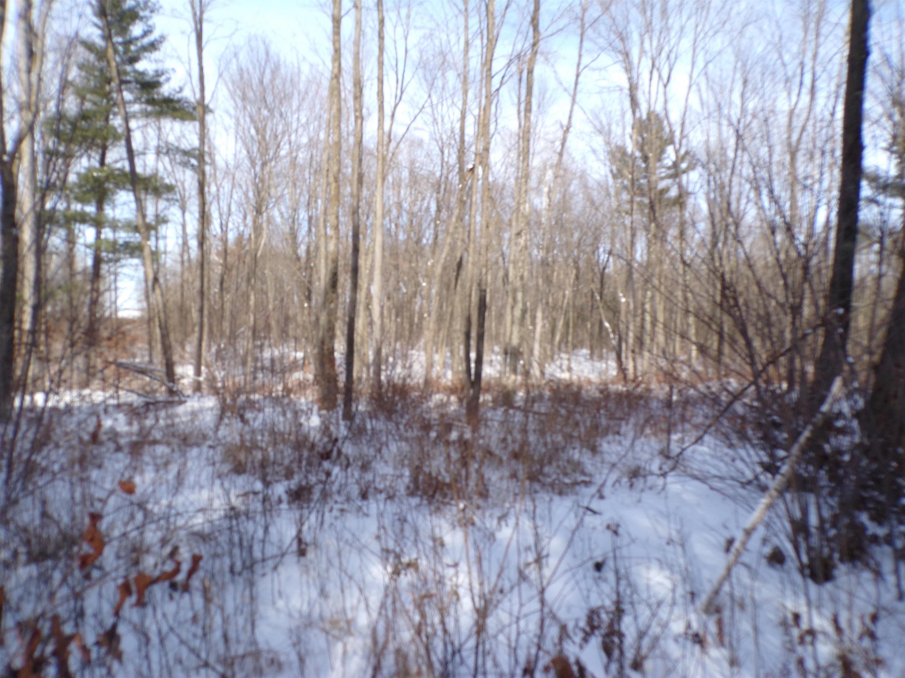 N11904 GORMAN AVENUE, Thorp, Wisconsin 54771, ,Land,For Sale,N11904 GORMAN AVENUE,22500548