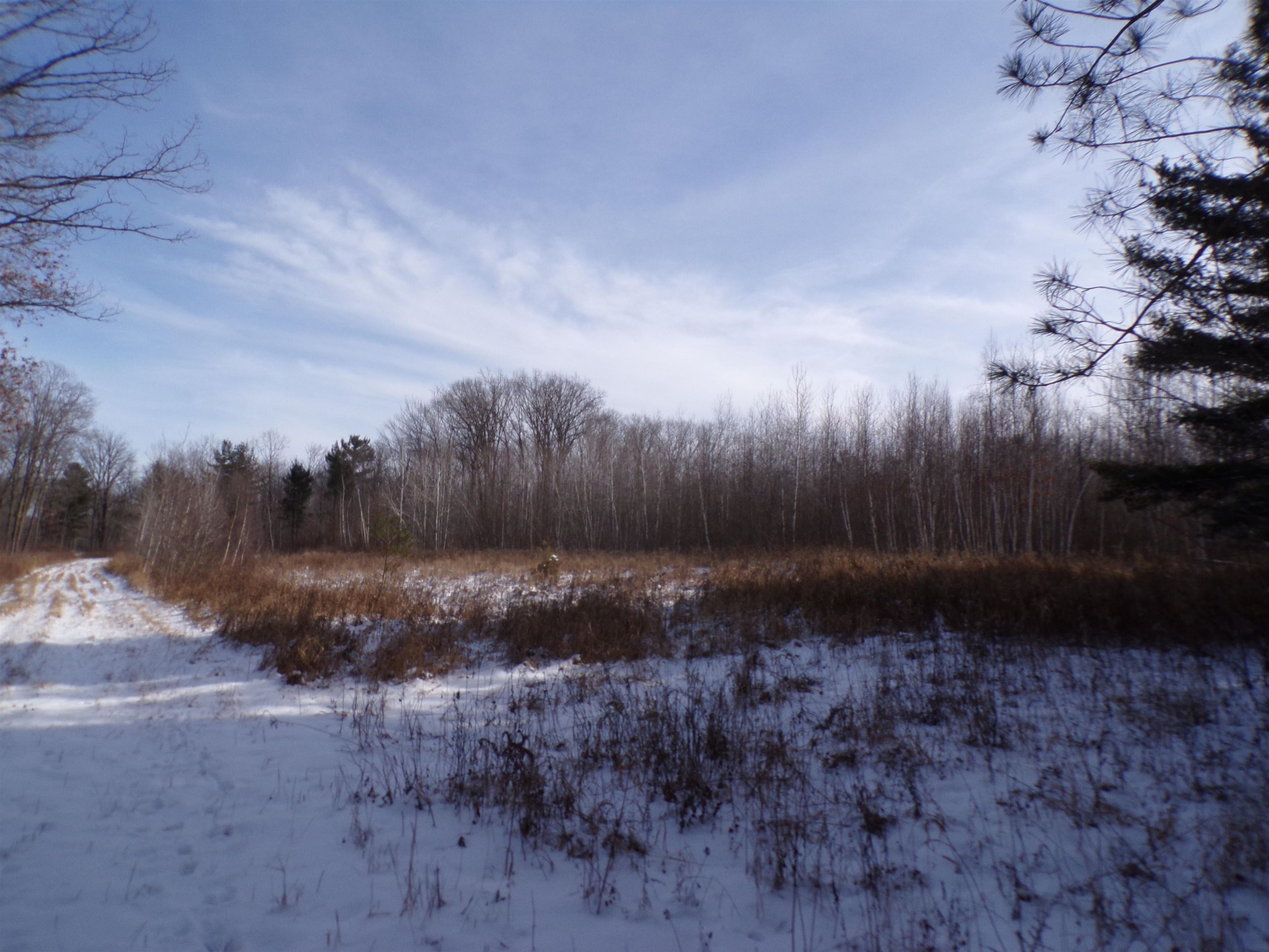 N11904 GORMAN AVENUE, Thorp, Wisconsin 54771, ,Land,For Sale,N11904 GORMAN AVENUE,22500548