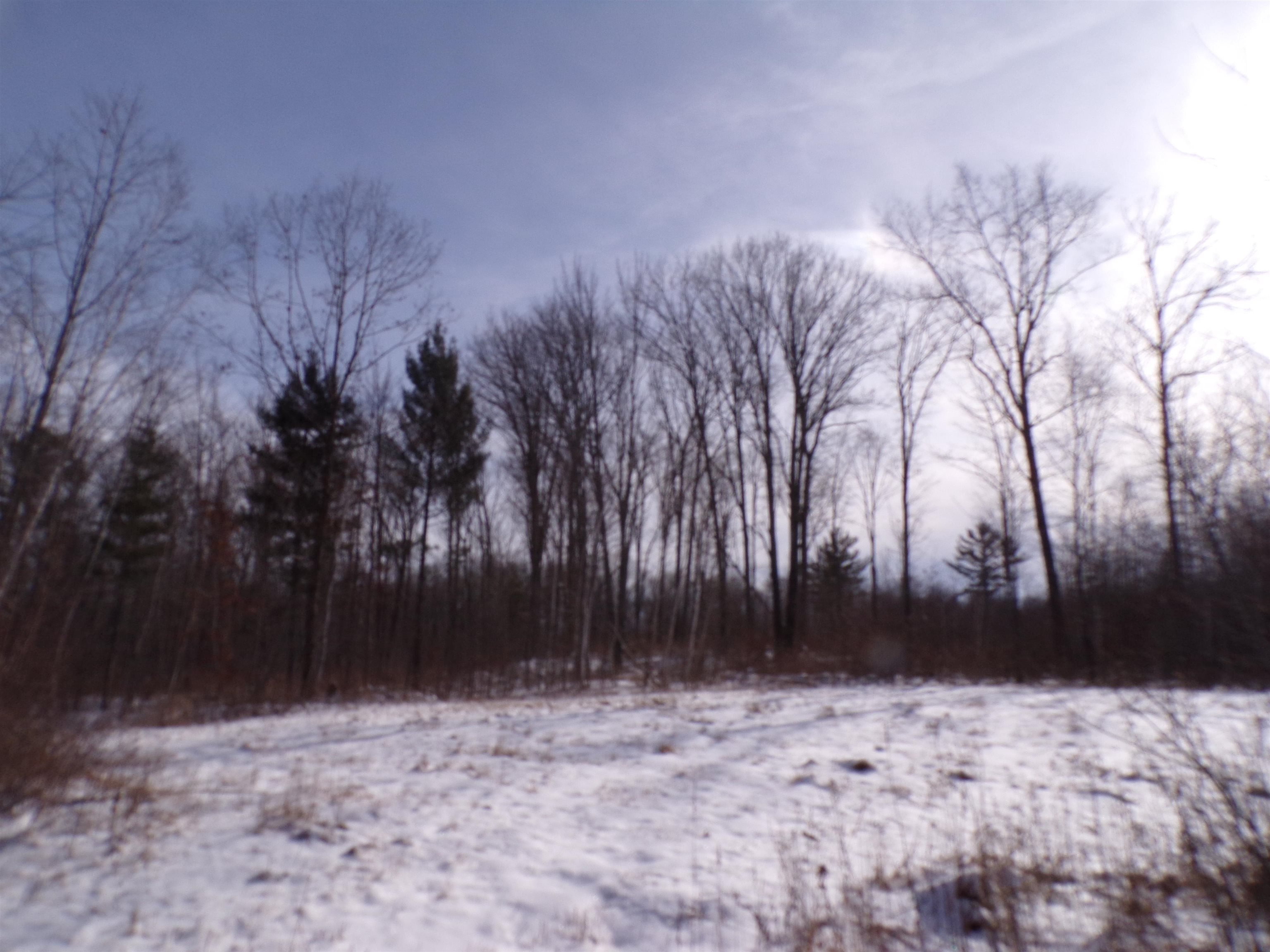 N11904 GORMAN AVENUE, Thorp, Wisconsin 54771, ,Land,For Sale,N11904 GORMAN AVENUE,22500548
