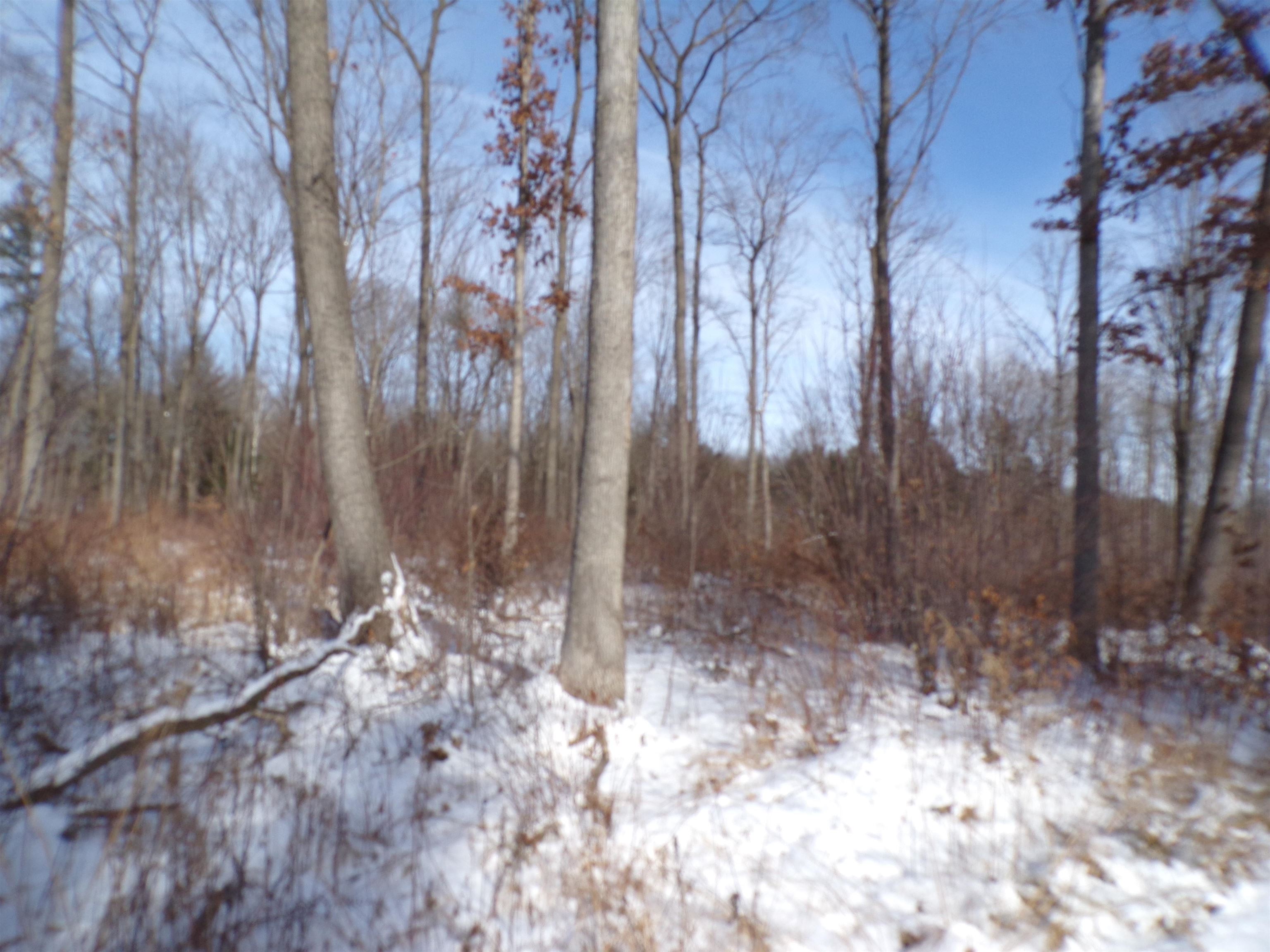 N11904 GORMAN AVENUE, Thorp, Wisconsin 54771, ,Land,For Sale,N11904 GORMAN AVENUE,22500548