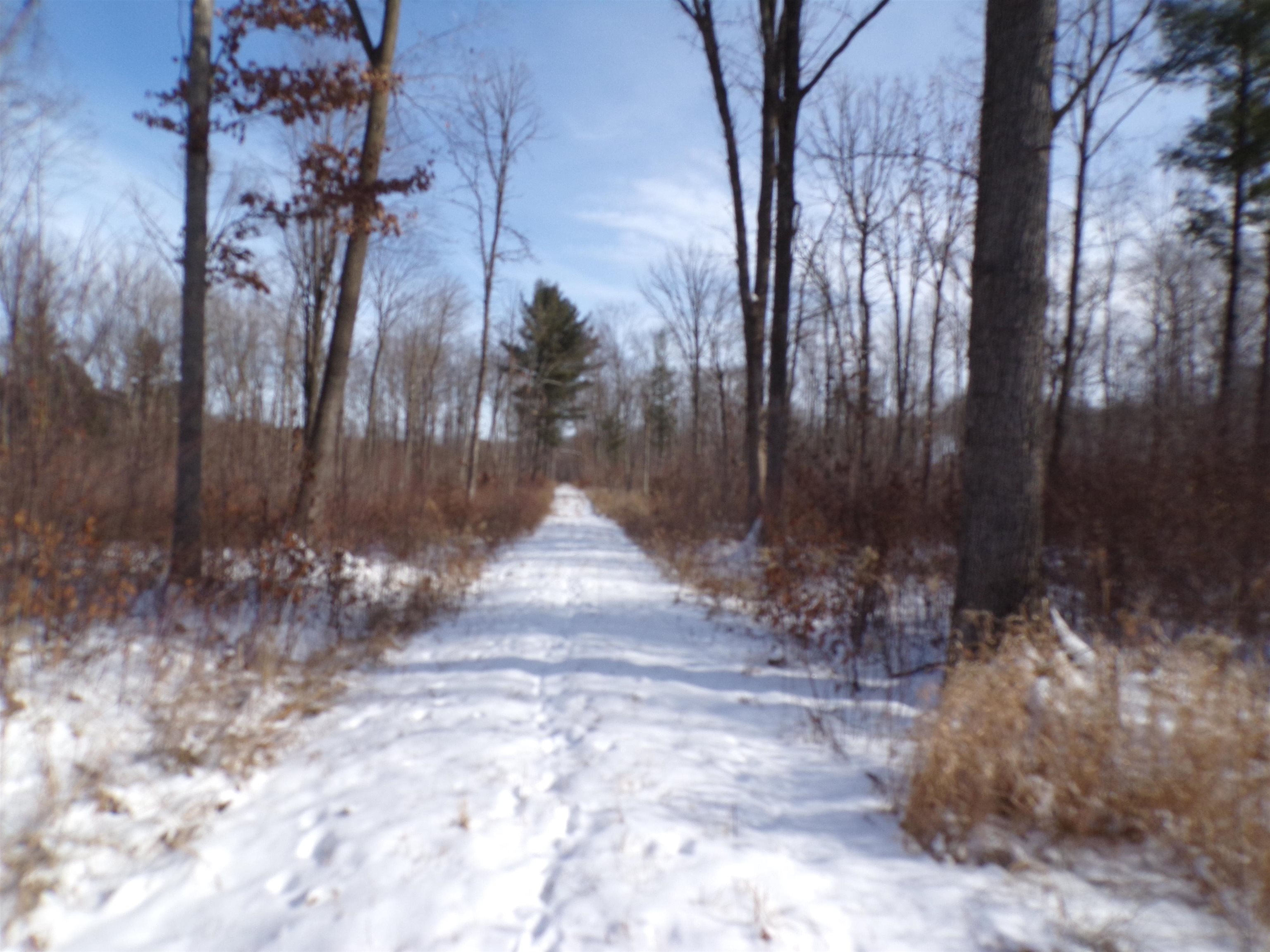 N11904 GORMAN AVENUE, Thorp, Wisconsin 54771, ,Land,For Sale,N11904 GORMAN AVENUE,22500548