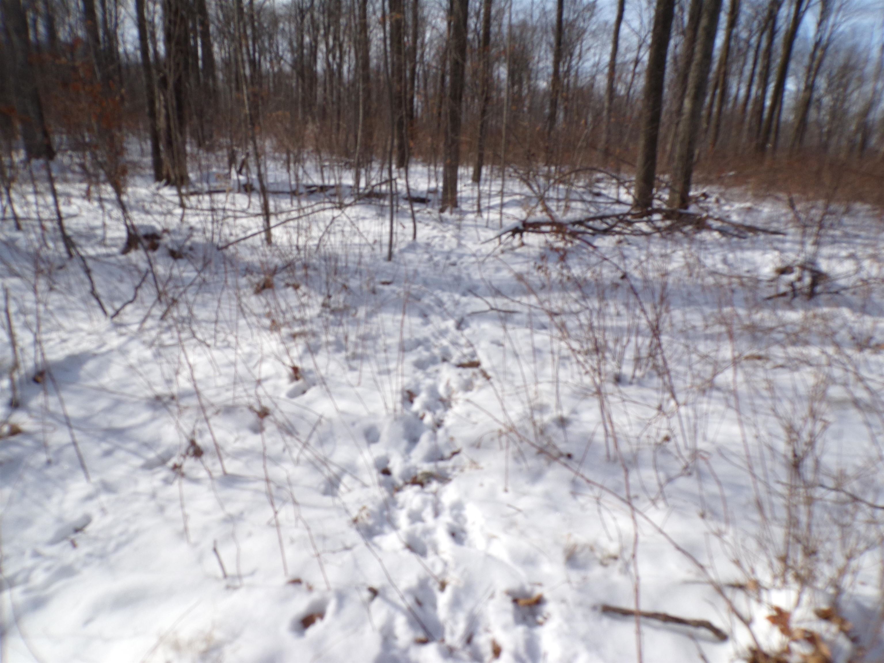 N11904 GORMAN AVENUE, Thorp, Wisconsin 54771, ,Land,For Sale,N11904 GORMAN AVENUE,22500548