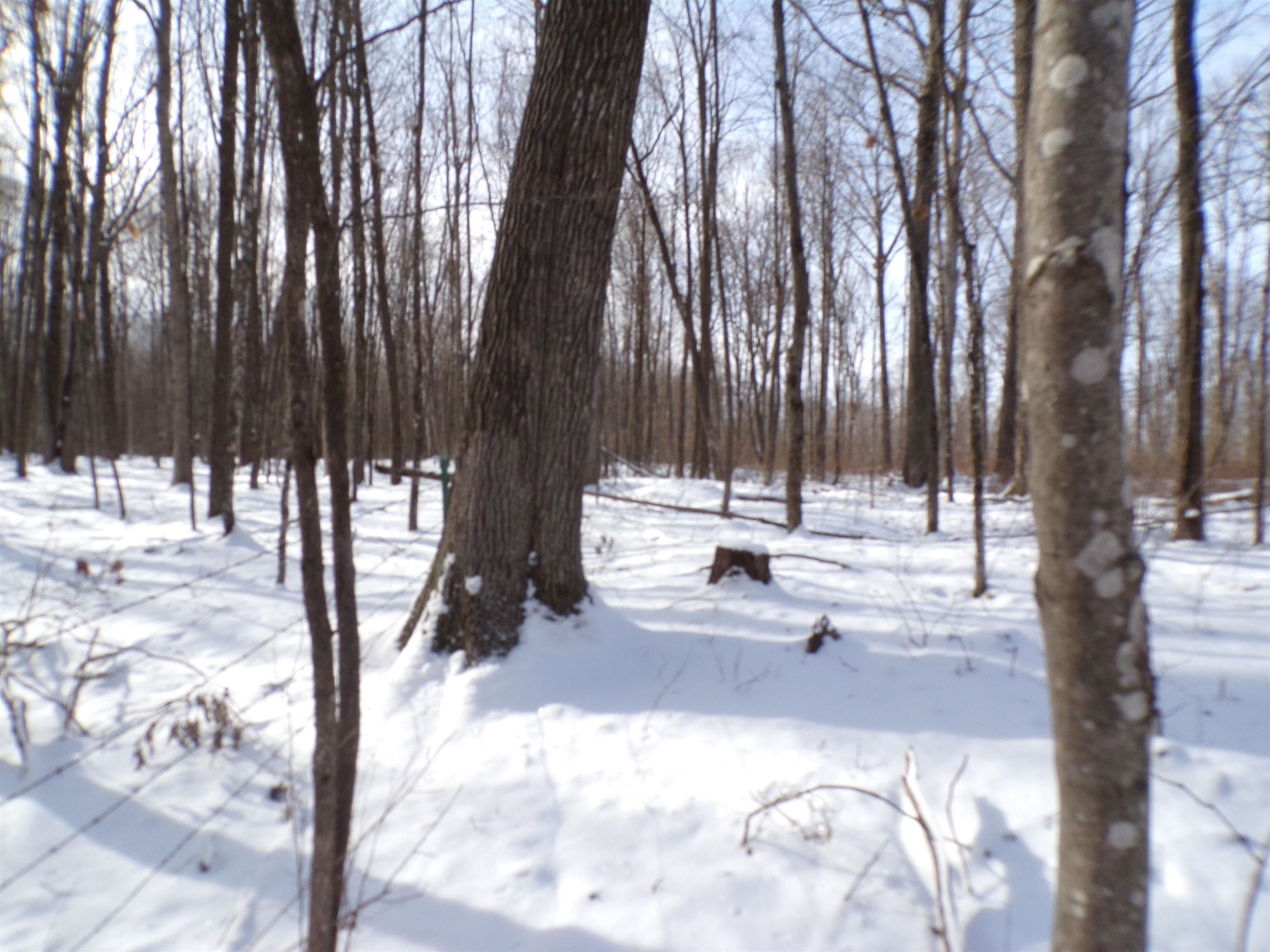 N11904 GORMAN AVENUE, Thorp, Wisconsin 54771, ,Land,For Sale,N11904 GORMAN AVENUE,22500548