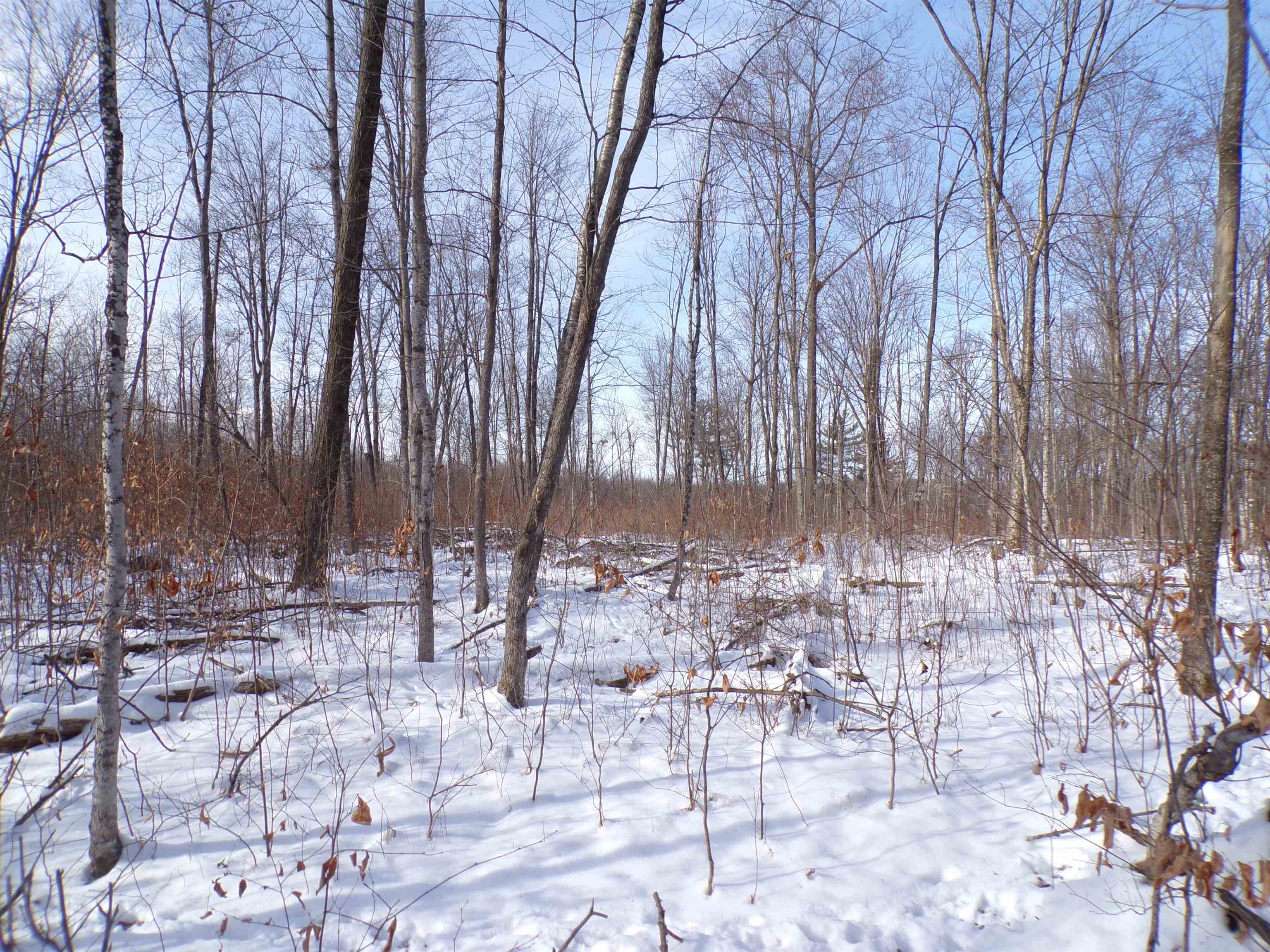 N11904 GORMAN AVENUE, Thorp, Wisconsin 54771, ,Land,For Sale,N11904 GORMAN AVENUE,22500548