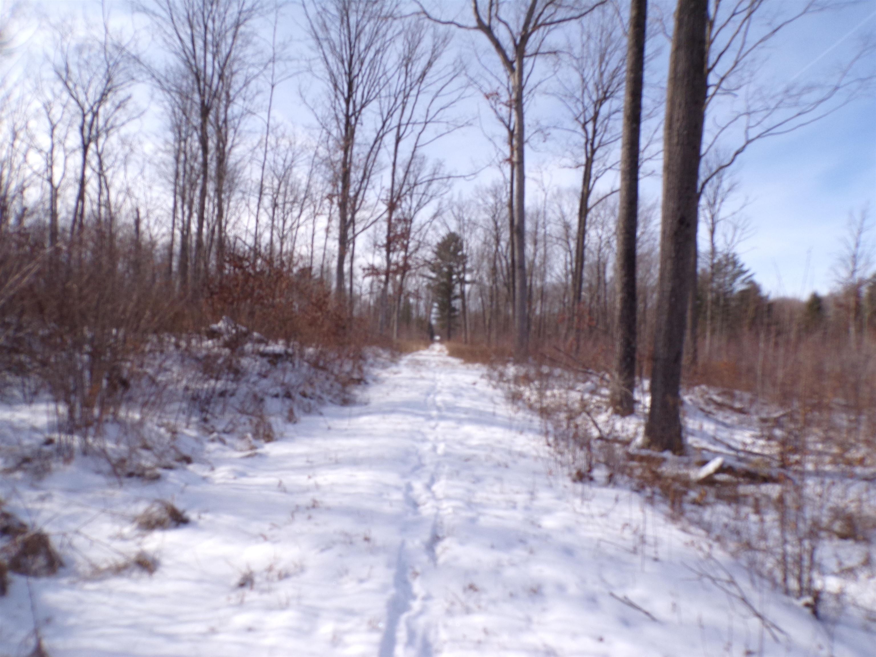 N11904 GORMAN AVENUE, Thorp, Wisconsin 54771, ,Land,For Sale,N11904 GORMAN AVENUE,22500548