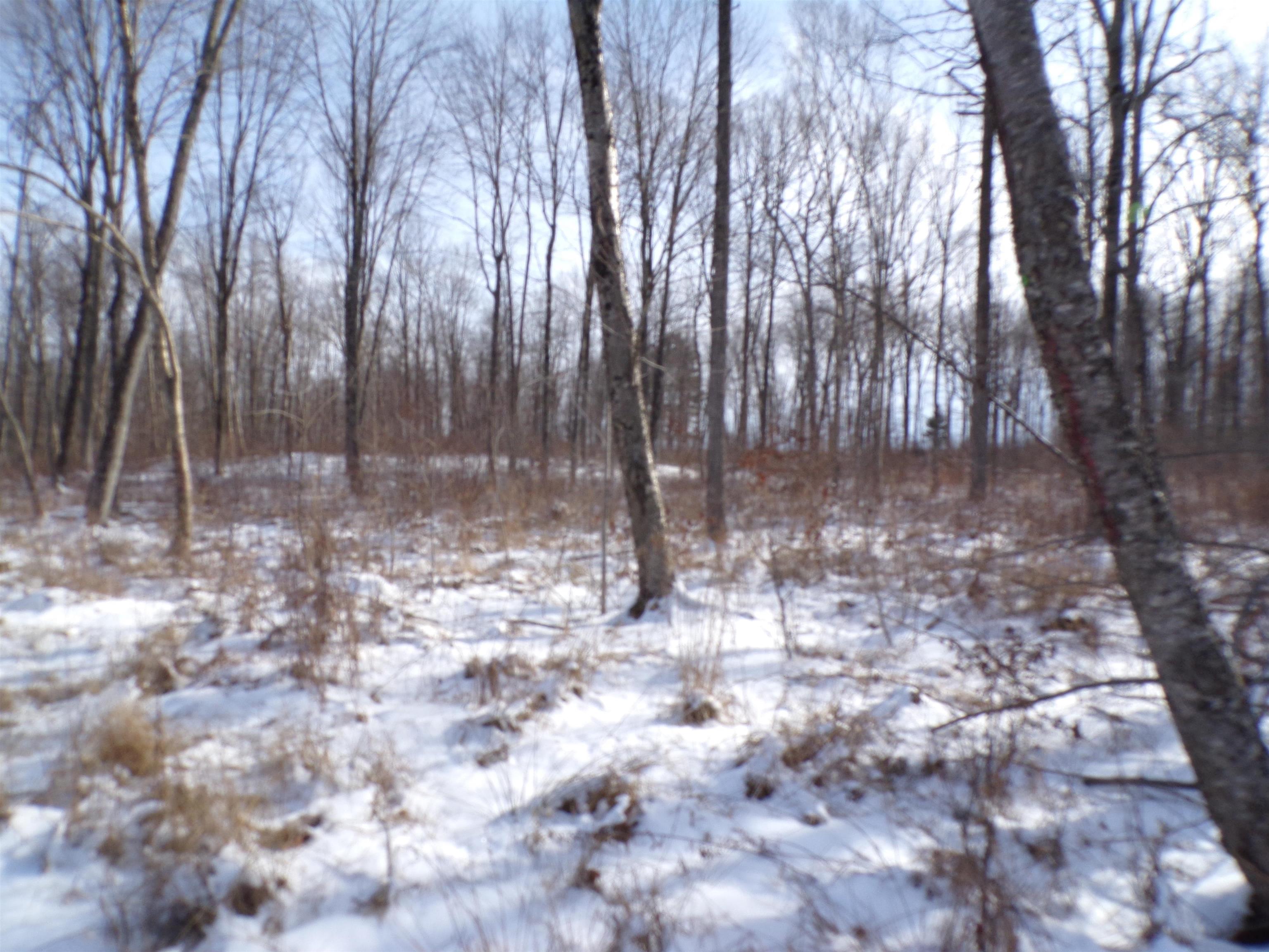 N11904 GORMAN AVENUE, Thorp, Wisconsin 54771, ,Land,For Sale,N11904 GORMAN AVENUE,22500548
