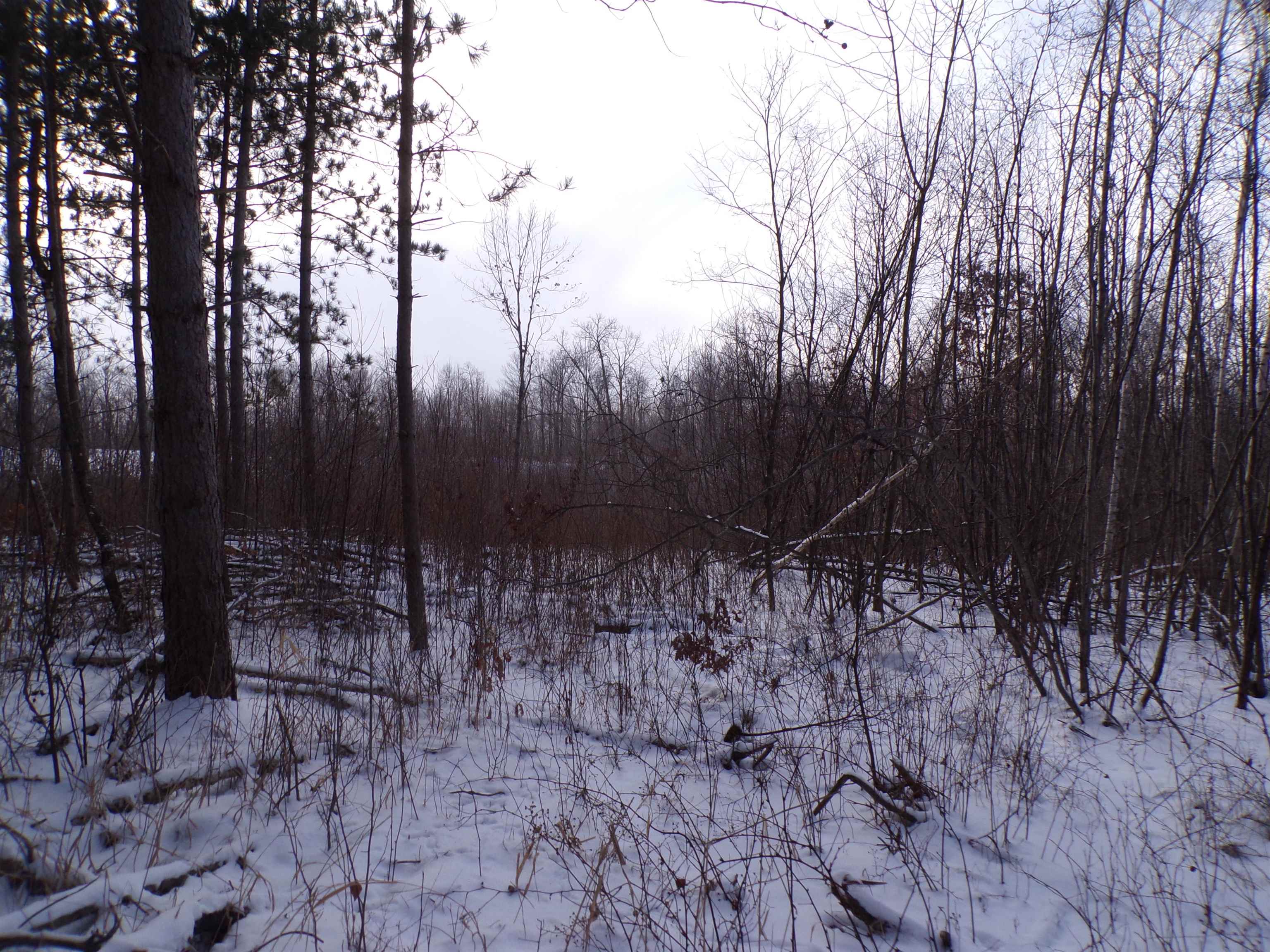 N11904 GORMAN AVENUE, Thorp, Wisconsin 54771, ,Land,For Sale,N11904 GORMAN AVENUE,22500548