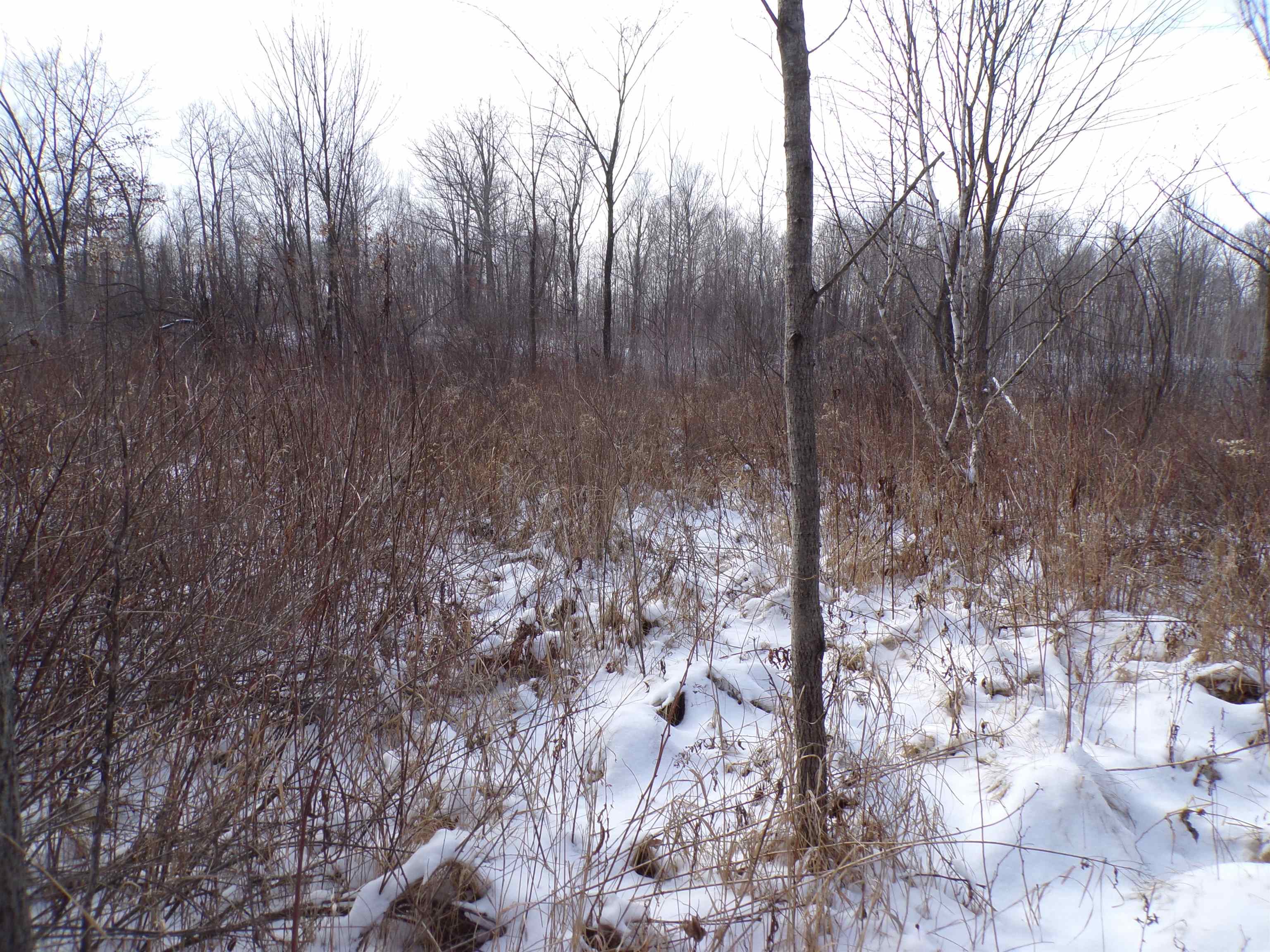 N11904 GORMAN AVENUE, Thorp, Wisconsin 54771, ,Land,For Sale,N11904 GORMAN AVENUE,22500548