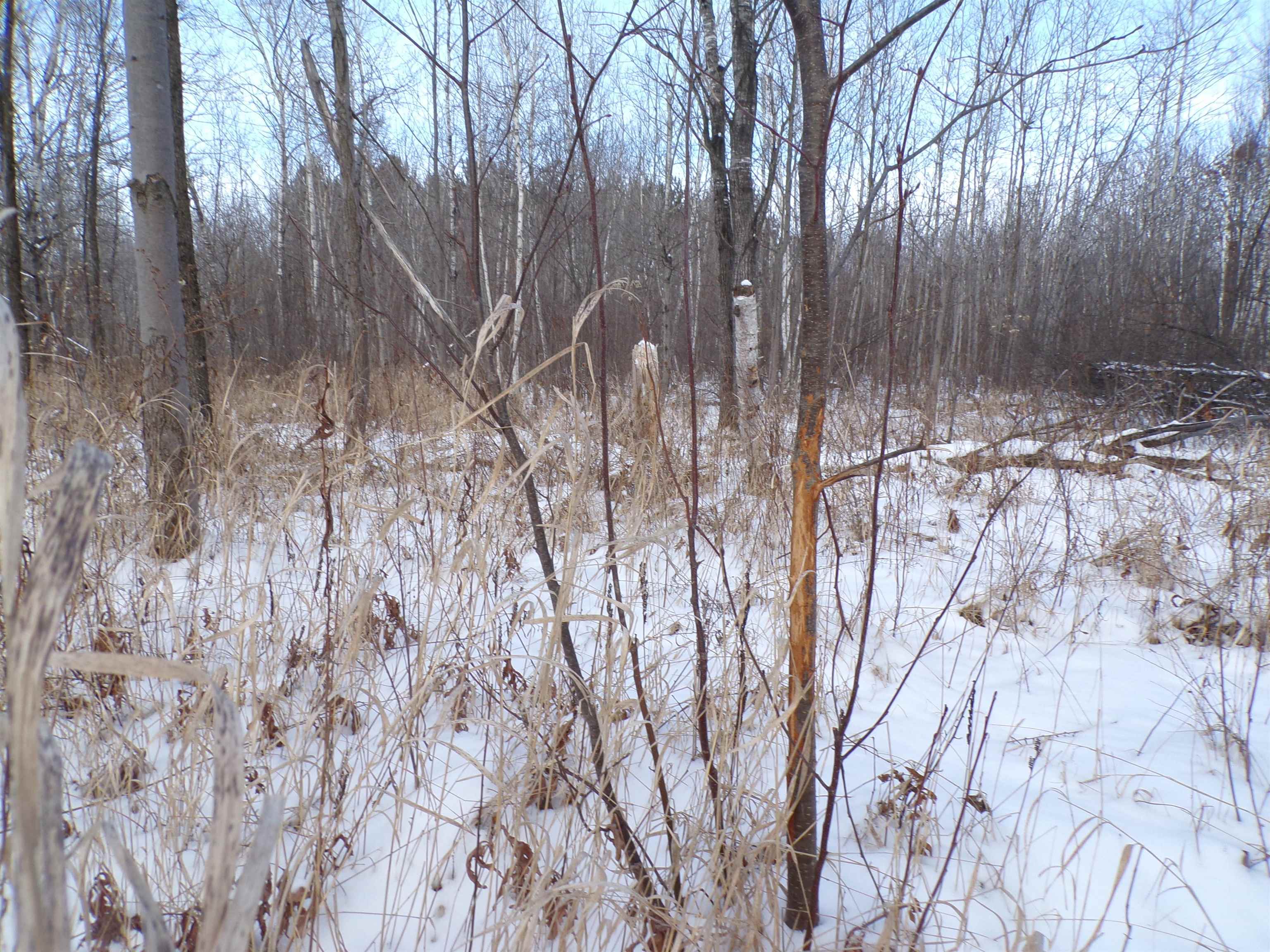 N11904 GORMAN AVENUE, Thorp, Wisconsin 54771, ,Land,For Sale,N11904 GORMAN AVENUE,22500548