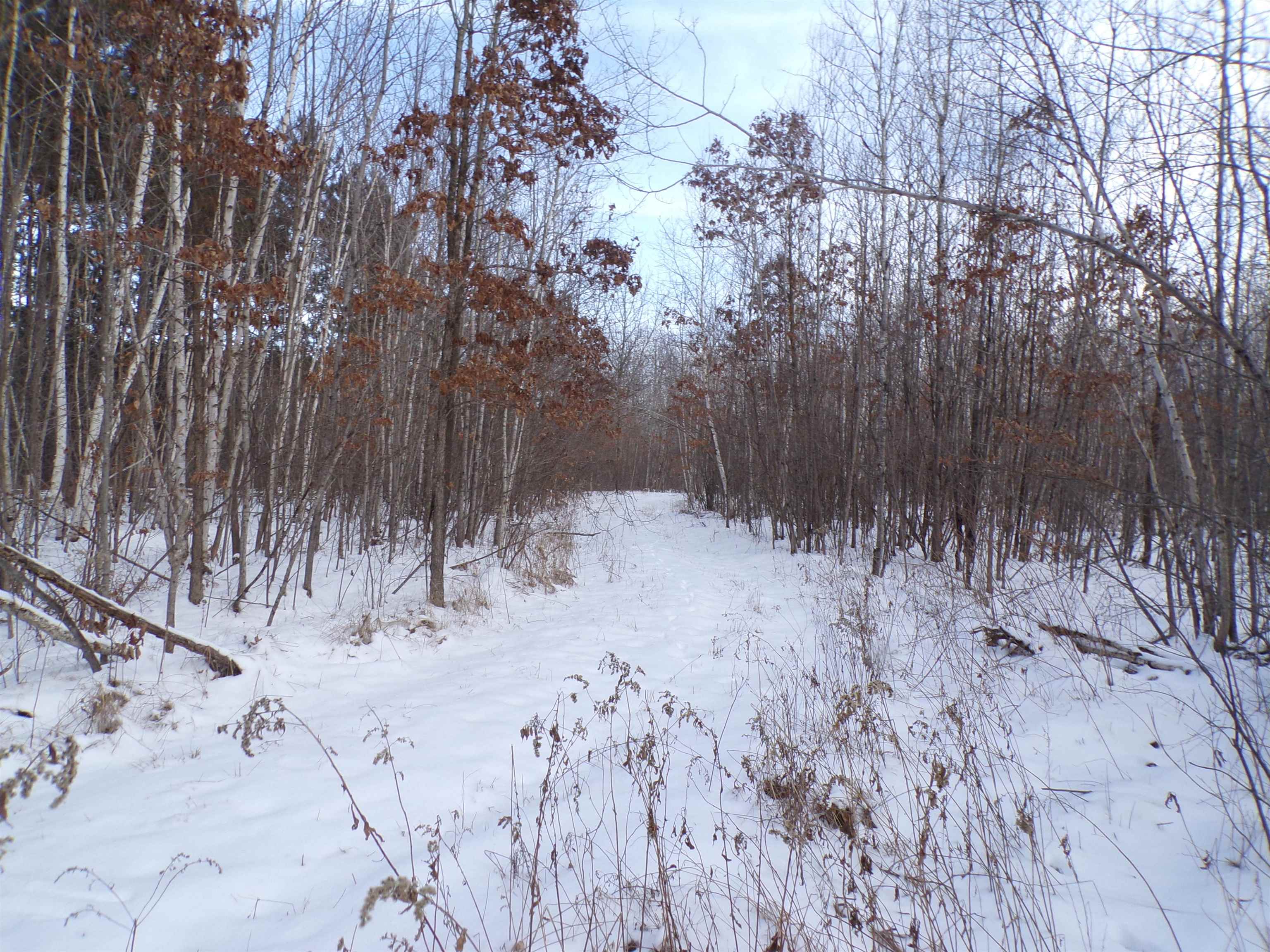 N11904 GORMAN AVENUE, Thorp, Wisconsin 54771, ,Land,For Sale,N11904 GORMAN AVENUE,22500548