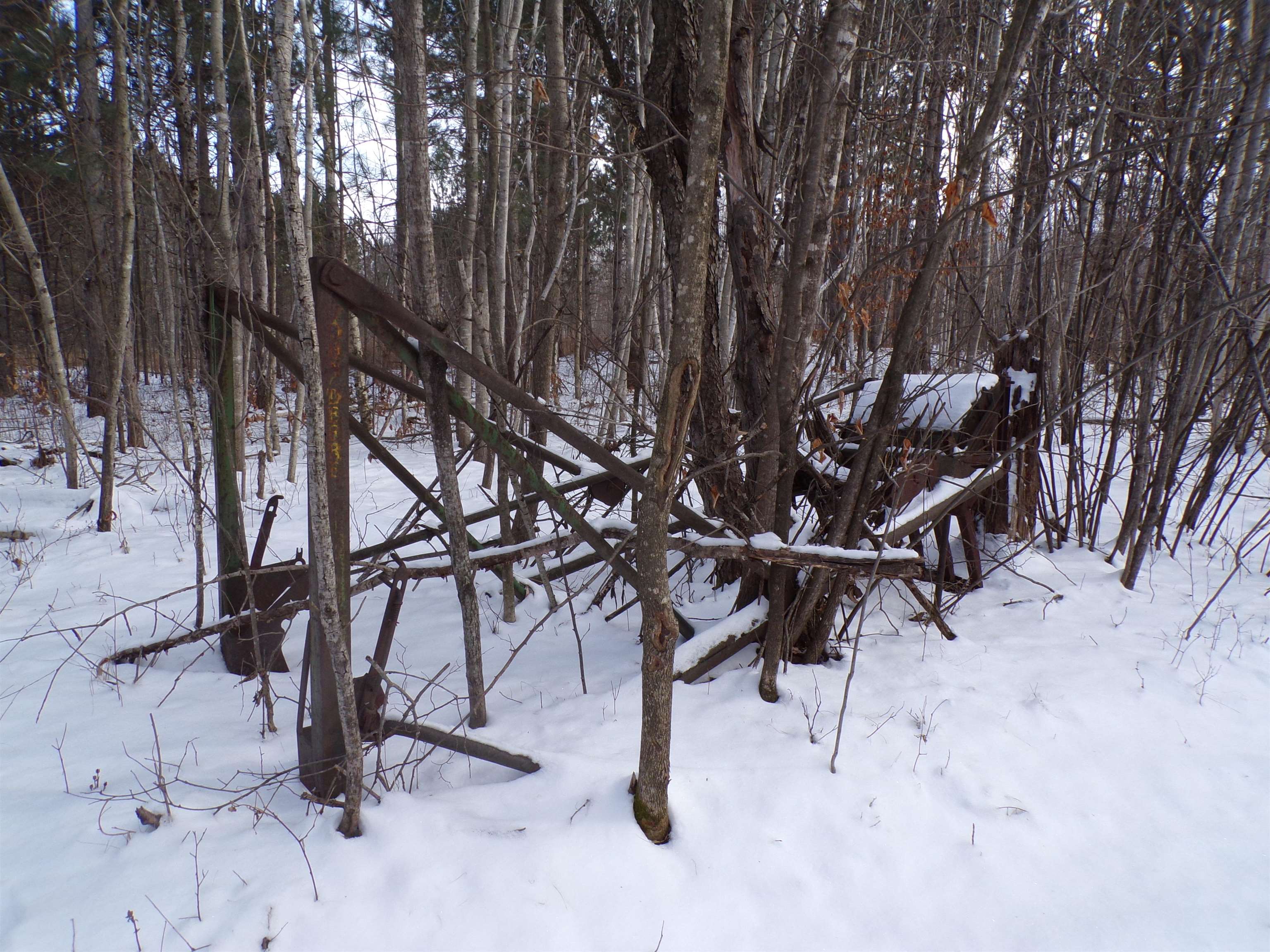 N11904 GORMAN AVENUE, Thorp, Wisconsin 54771, ,Land,For Sale,N11904 GORMAN AVENUE,22500548