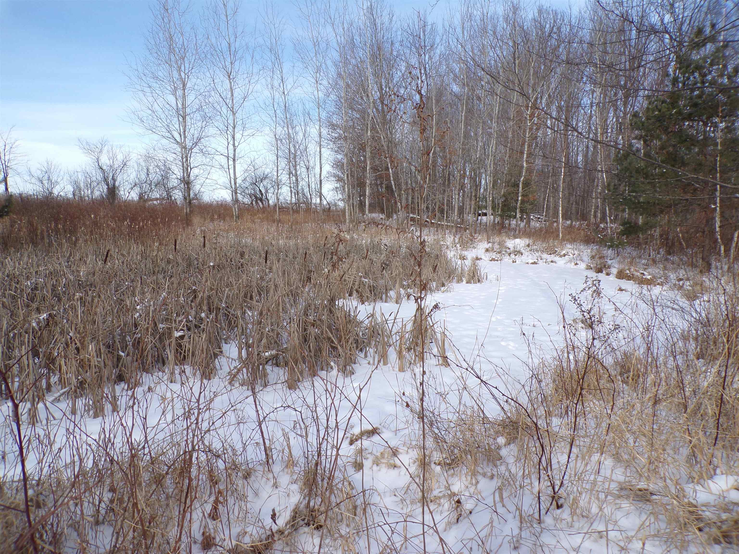 N11904 GORMAN AVENUE, Thorp, Wisconsin 54771, ,Land,For Sale,N11904 GORMAN AVENUE,22500548
